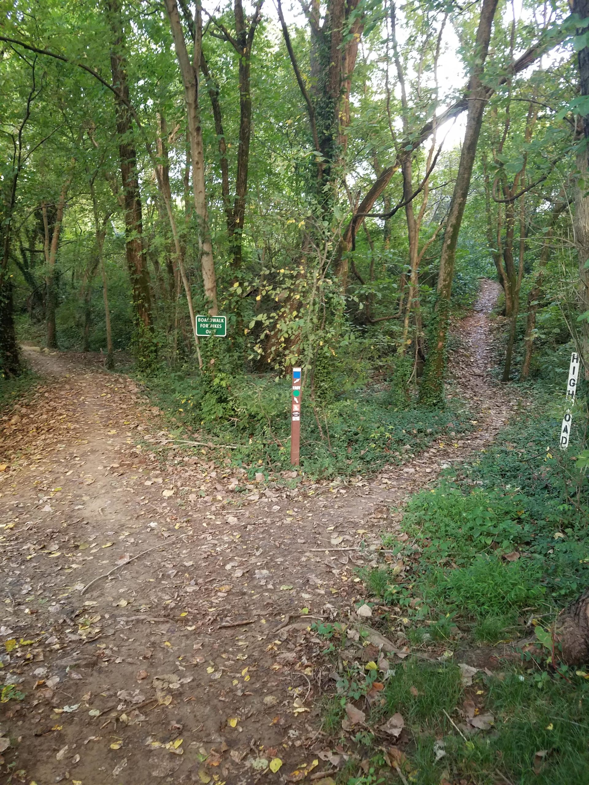 A wooded area featuring two diverging dirt paths, surrounded by green foliage and trees. A signpost indicates walking trails, and the ground is covered with fallen leaves. The scene conveys a tranquil outdoor setting perfect for hiking or walking. Low Hollow mountain bike trail.