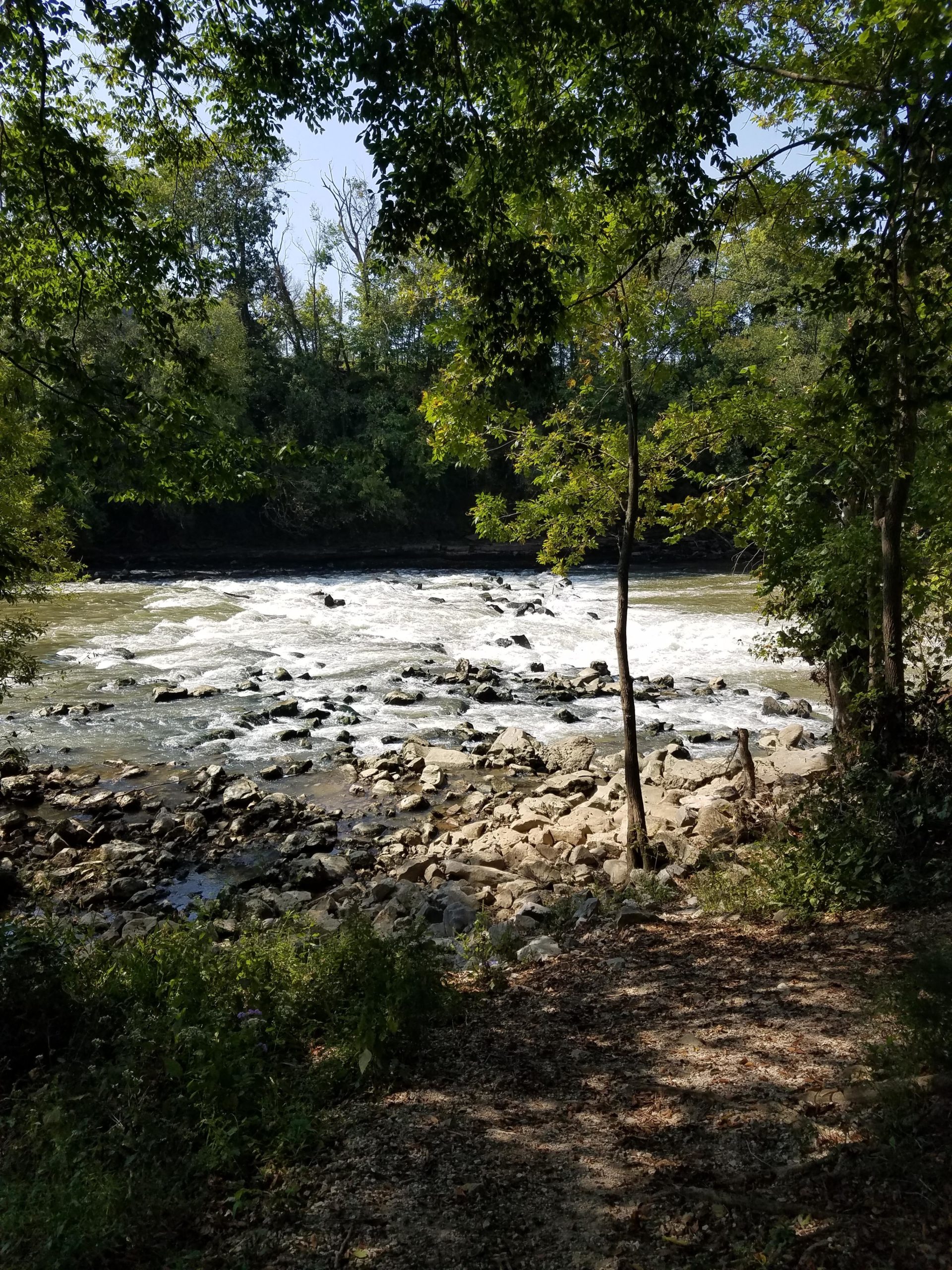 A scenic view of a river with white water rapids surrounded by lush greenery. Rocky banks are visible on either side of the river, and sunlight filters through the trees overhead, casting dappled shadows on the ground. Low Hollow mountain bike trail.