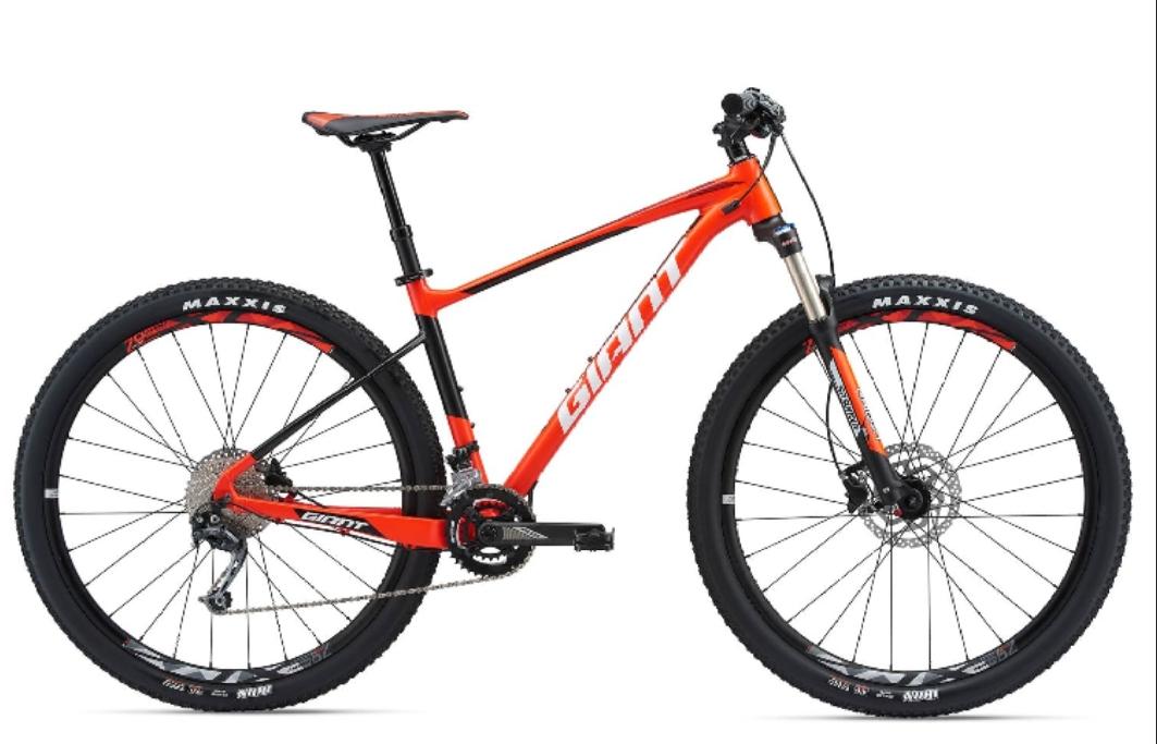 Giant Giant Fathom 2 29er: 