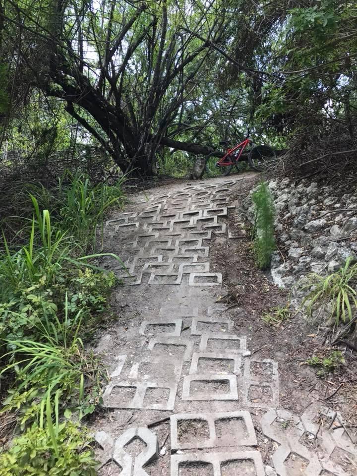 A winding dirt path with patterned concrete tiles leading through a lush, green area, bordered by bushes and trees. A red bicycle is leaning against a tree near the top of the path. Caloosahatchee Regional Park mountain bike trail.