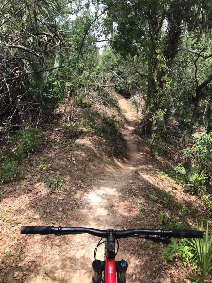 An image showing a mountain bike handlebar in the foreground, with a narrow, winding dirt trail that leads into a dense forest filled with greenery and scattered foliage. The trail appears to be natural and unpaved, framed by trees and shrubs on either side. Caloosahatchee Regional Park mountain bike trail.