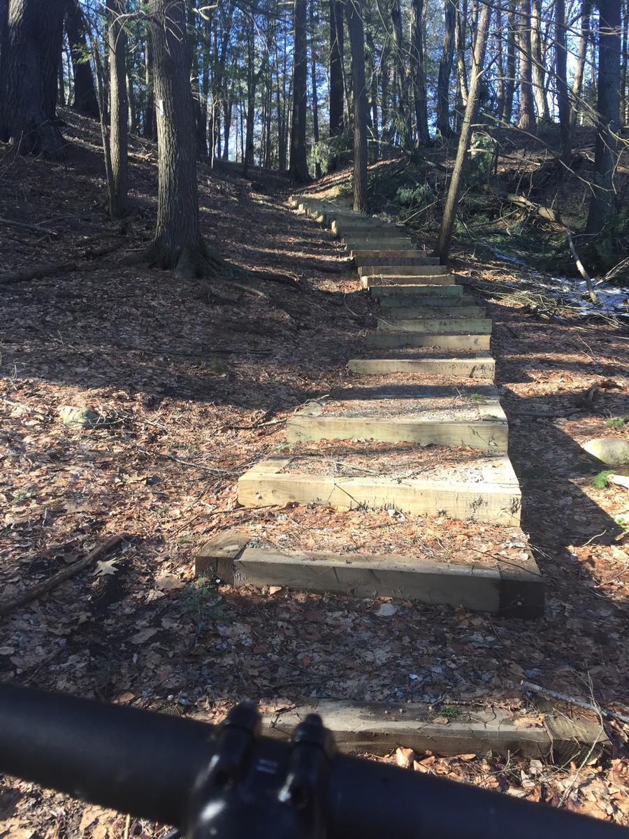 Wooden steps leading up a forested path, surrounded by trees and fallen leaves, with a view from a low perspective that includes part of a bicycle handlebar in the foreground. Merrimack River Trail mountain bike trail.