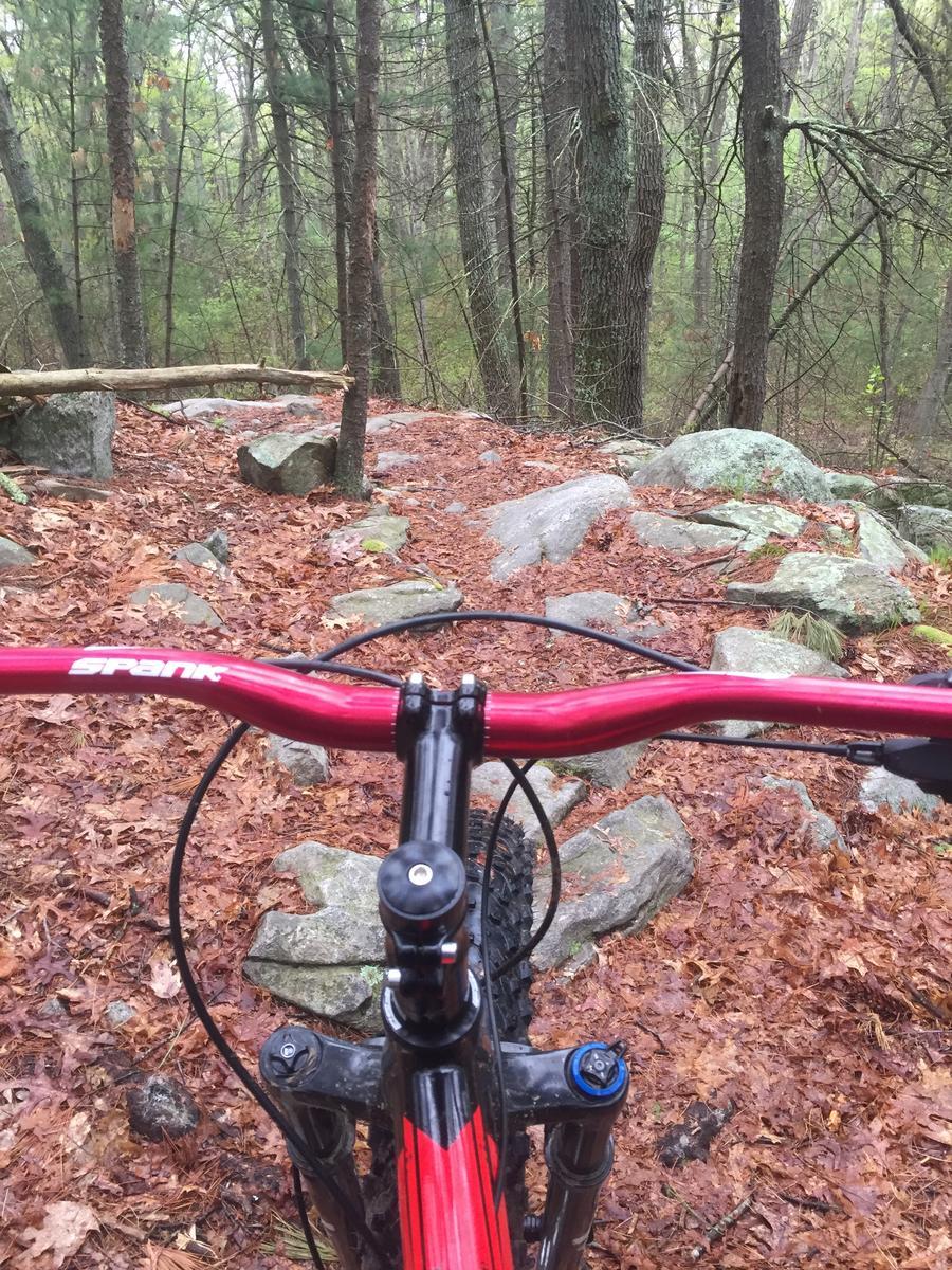 "View from the handlebars of a mountain bike on a rocky, forested trail covered in fallen leaves." Harold Parker State Forest mountain bike trail.