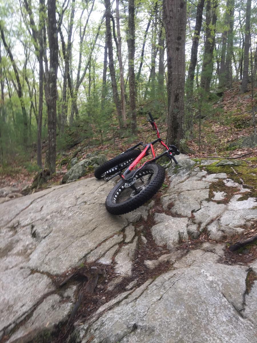A fat tire bicycle resting on a large rock in a forested area. The bicycle has a red frame and black tires, with surrounding greenery and trees in the background. Harold Parker State Forest mountain bike trail.