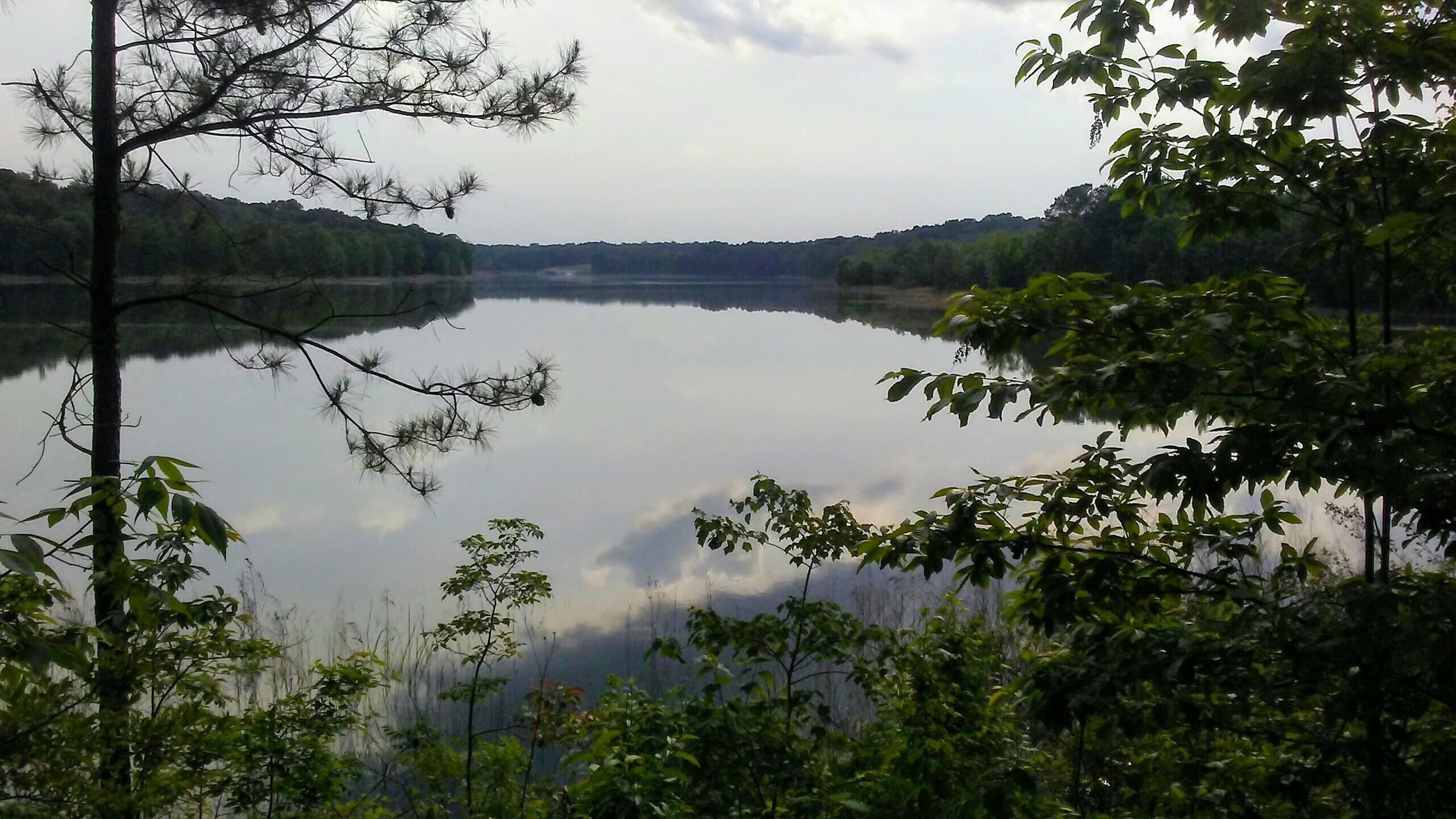 A serene landscape featuring a calm lake surrounded by lush greenery and trees, with a cloudy sky reflected in the water. The scene captures a tranquil nature setting, perfect for relaxation and reflection. Duck River mountain bike trail.