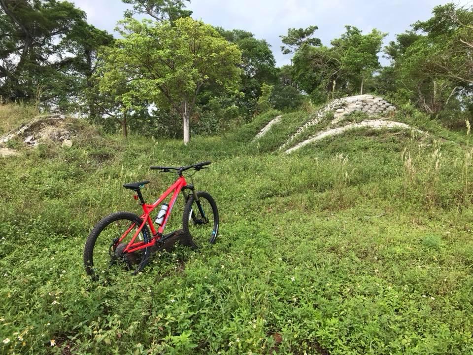A red mountain bike is parked on a grassy area surrounded by trees and shrubs. In the background, there is a small, stone structure resembling a mound. The scene is lush and green, indicative of a natural outdoor setting. Quiet Waters Park mountain bike trail.