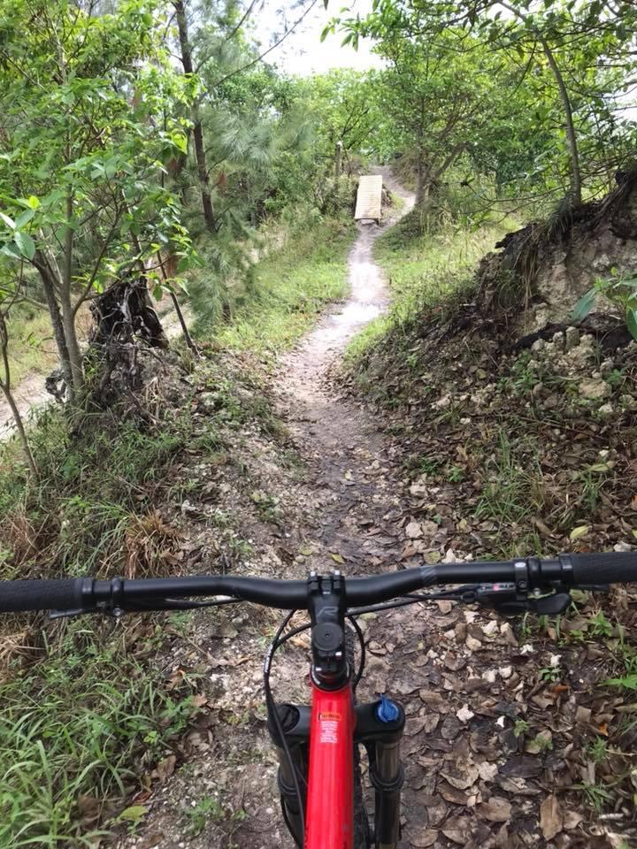 A view from the handlebars of a red mountain bike on a dirt trail winding through a lush, green landscape. The path is bordered by trees and foliage, with some fallen leaves scattered on the ground. A wooden bridge is visible further down the trail. Quiet Waters Park mountain bike trail.
