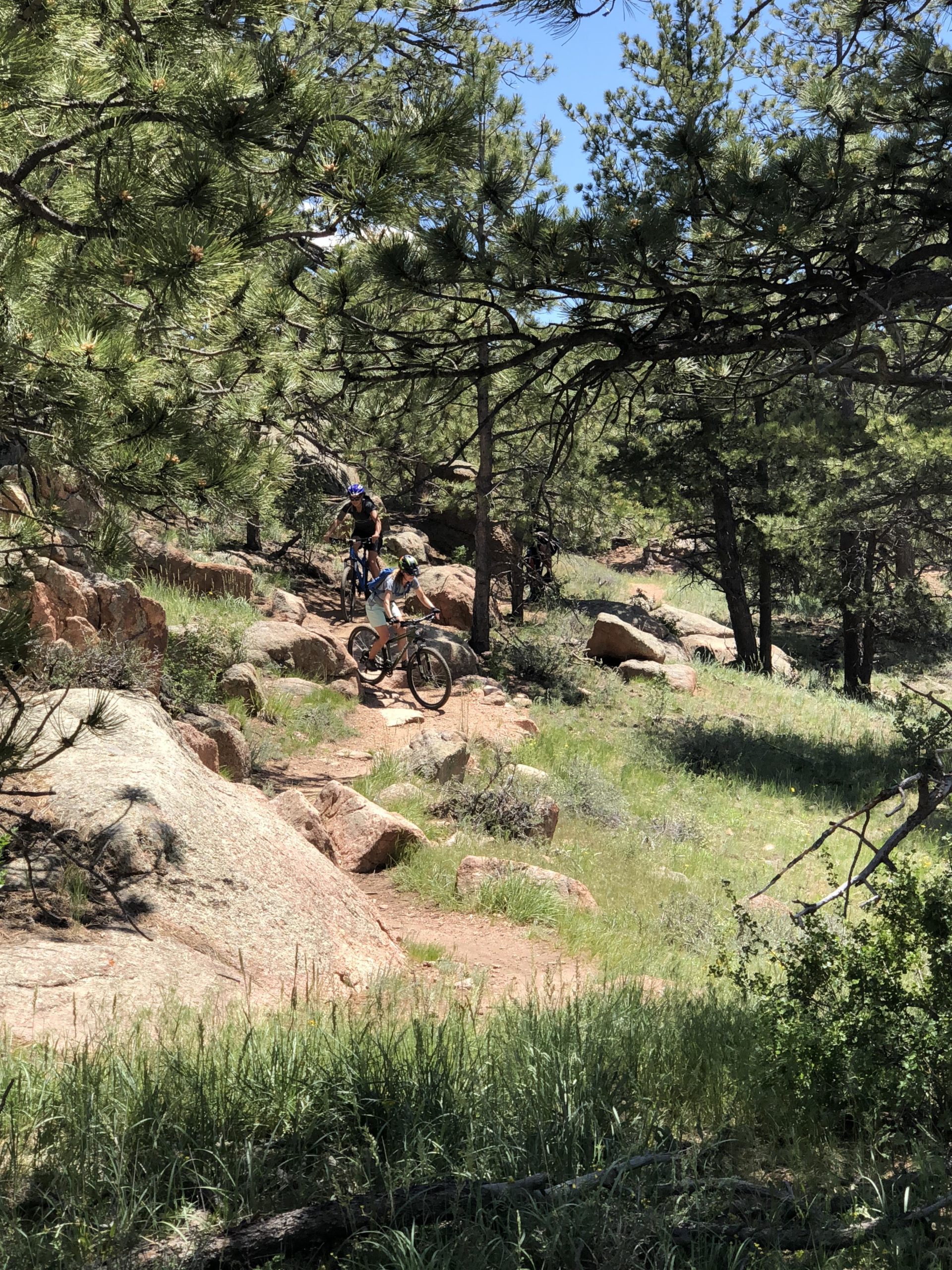 Two mountain bikers navigate a rocky trail surrounded by lush greenery and trees on a sunny day. One biker is pedaling down the path, while the other is adjusting their gear nearby. The scene captures the beauty of nature and the excitement of outdoor cycling. Curt Gowdy State Park mountain bike trail.