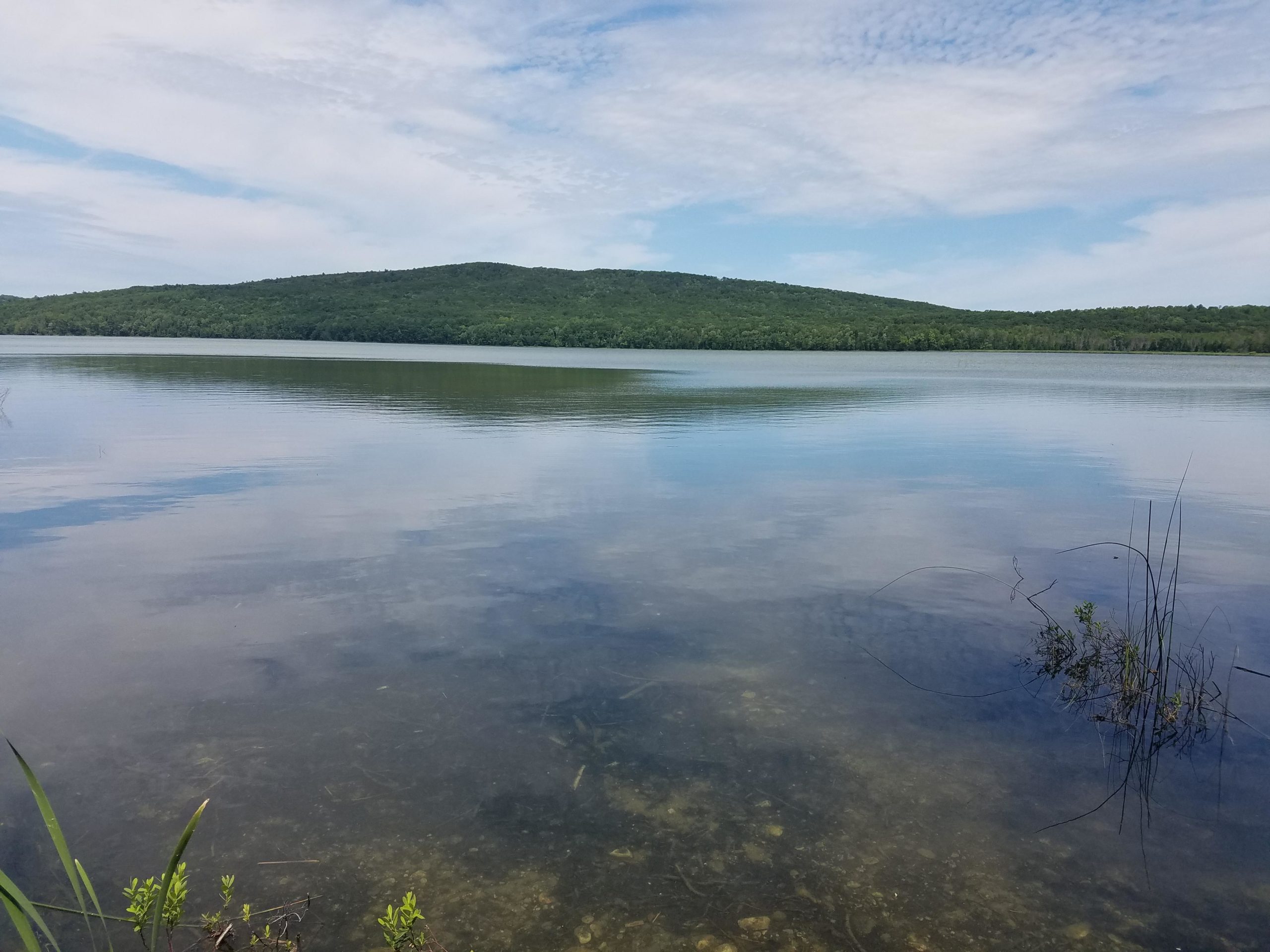 A tranquil view of a calm lake surrounded by lush greenery, with a distant hill in the background under a partly cloudy sky. The water
