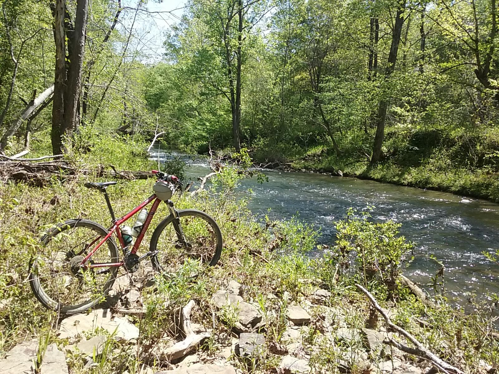 A mountain bike leaning on a rock next to a gentle stream, surrounded by vibrant green foliage and trees on a sunny day. Tannehill Historic Ironworks State Park mountain bike trail.