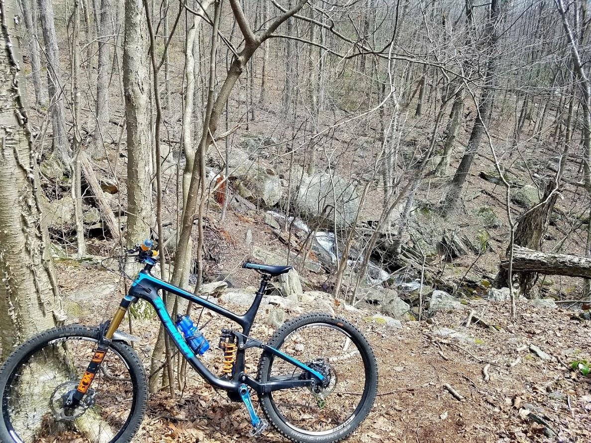 Transition Patrol: A mountain bike resting against a tree in a forested area, surrounded by bare trees and rocky terrain. A small stream can be seen in the background, adding to the natural setting.