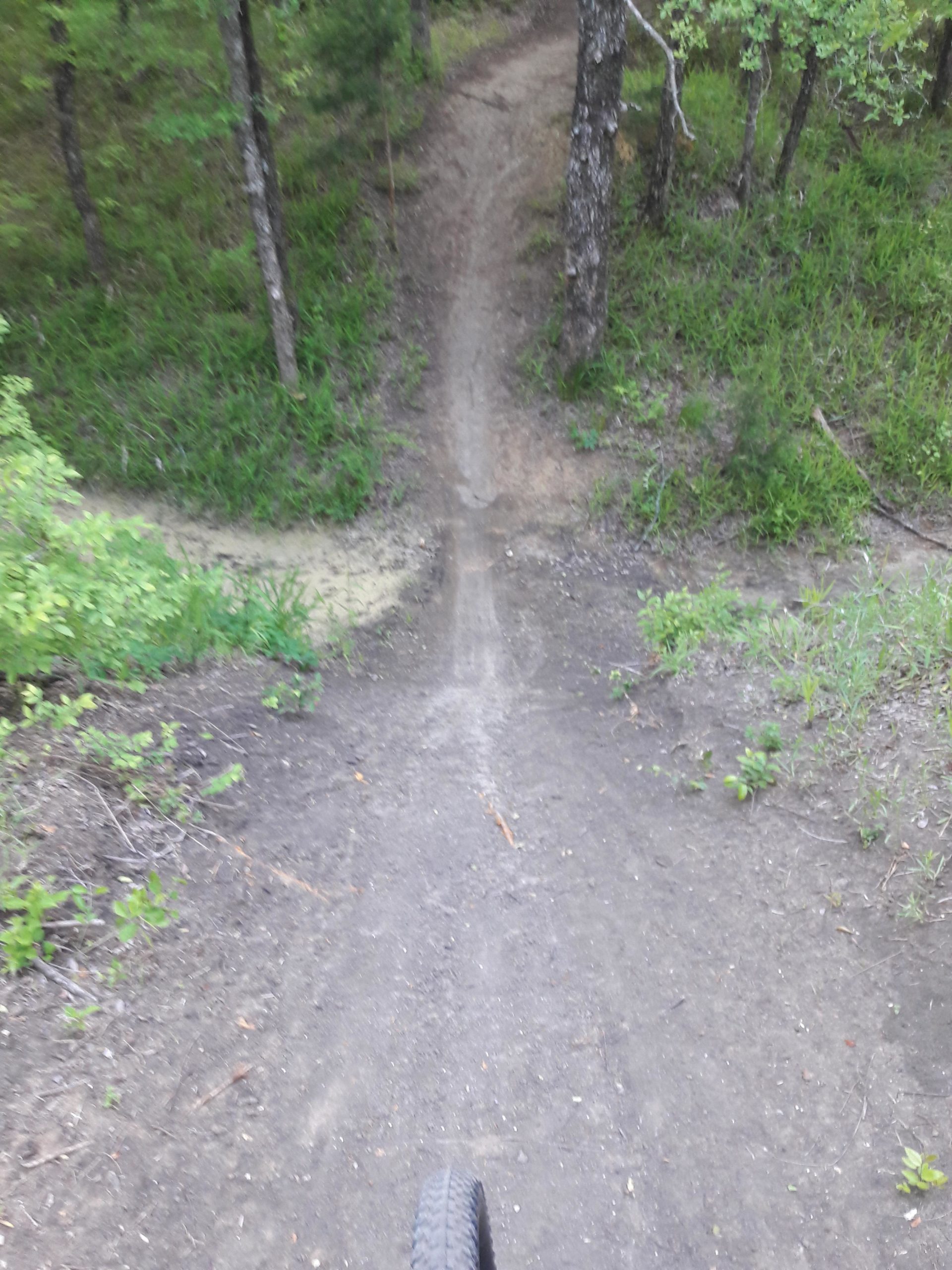 A mountain biking trail winding through a forest, showing a dirt path with tire tracks and greenery on either side. The view is from a low angle, featuring a bicycle tire in the foreground, leading towards the downhill section of the trail. Chisenhall trails mountain bike trail.