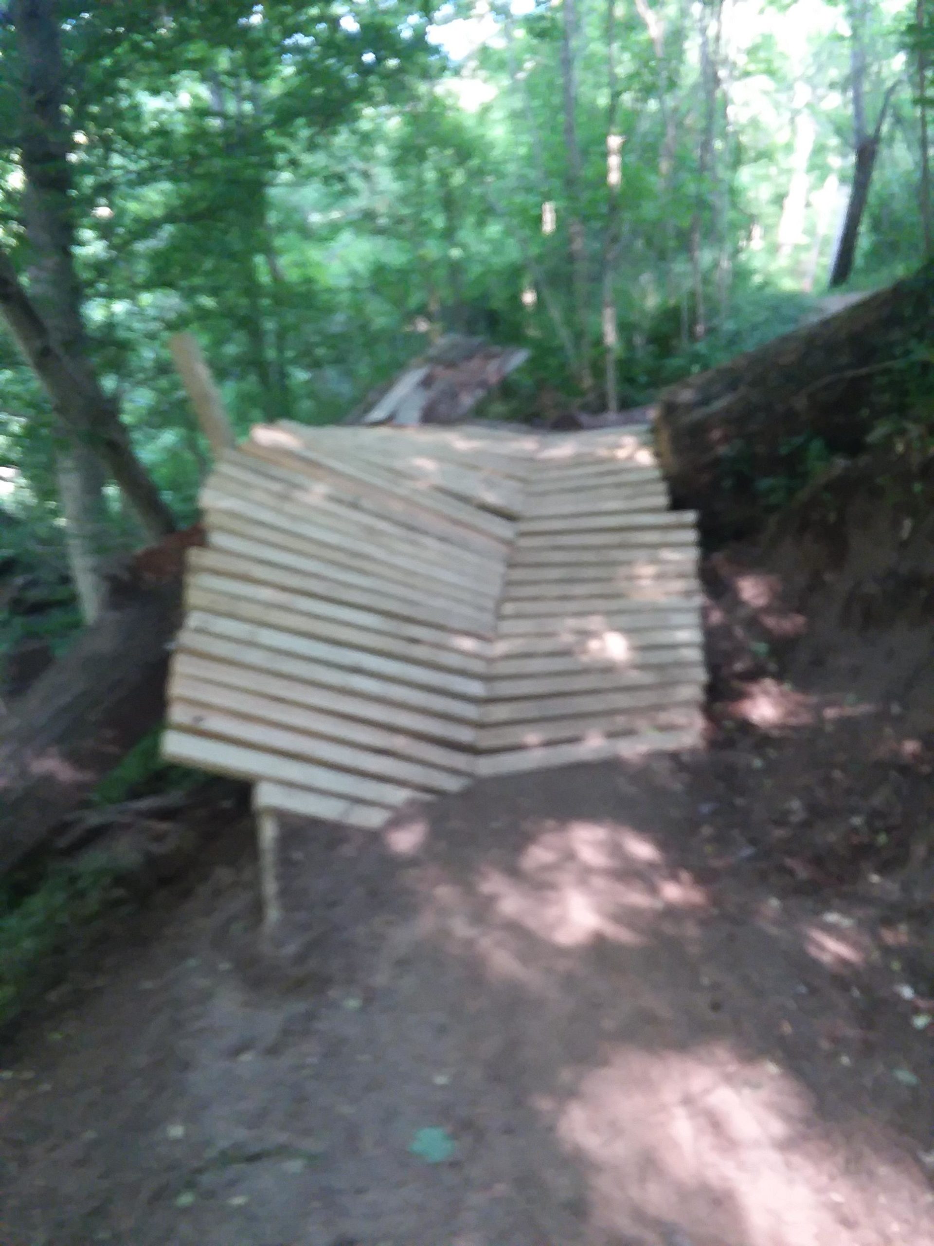 A stack of wooden boards arranged at an angle, situated on a dirt path in a green forest. Trees and foliage surround the area, indicating a natural setting. The lighting suggests it is daytime. Capital View mountain bike trail.