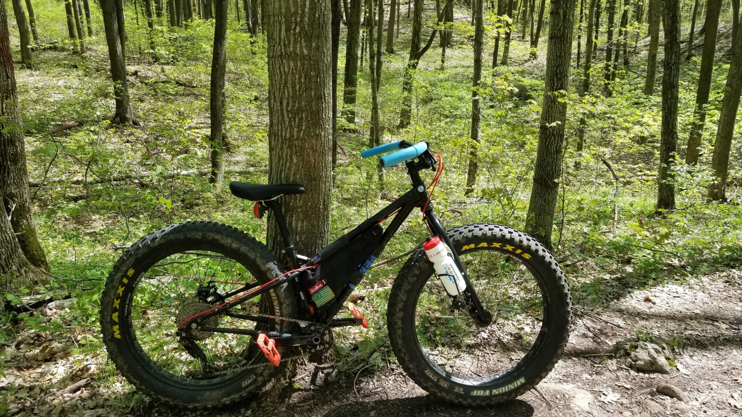 Surly Ice Cream Truck Ops: A black fat bike with orange pedal clips and blue handlebar grips is parked beside a tree in a lush green forest. The bike has chunky tires and a water bottle attached to its frame. Sunlight filters through the leaves, illuminating the surrounding undergrowth.
