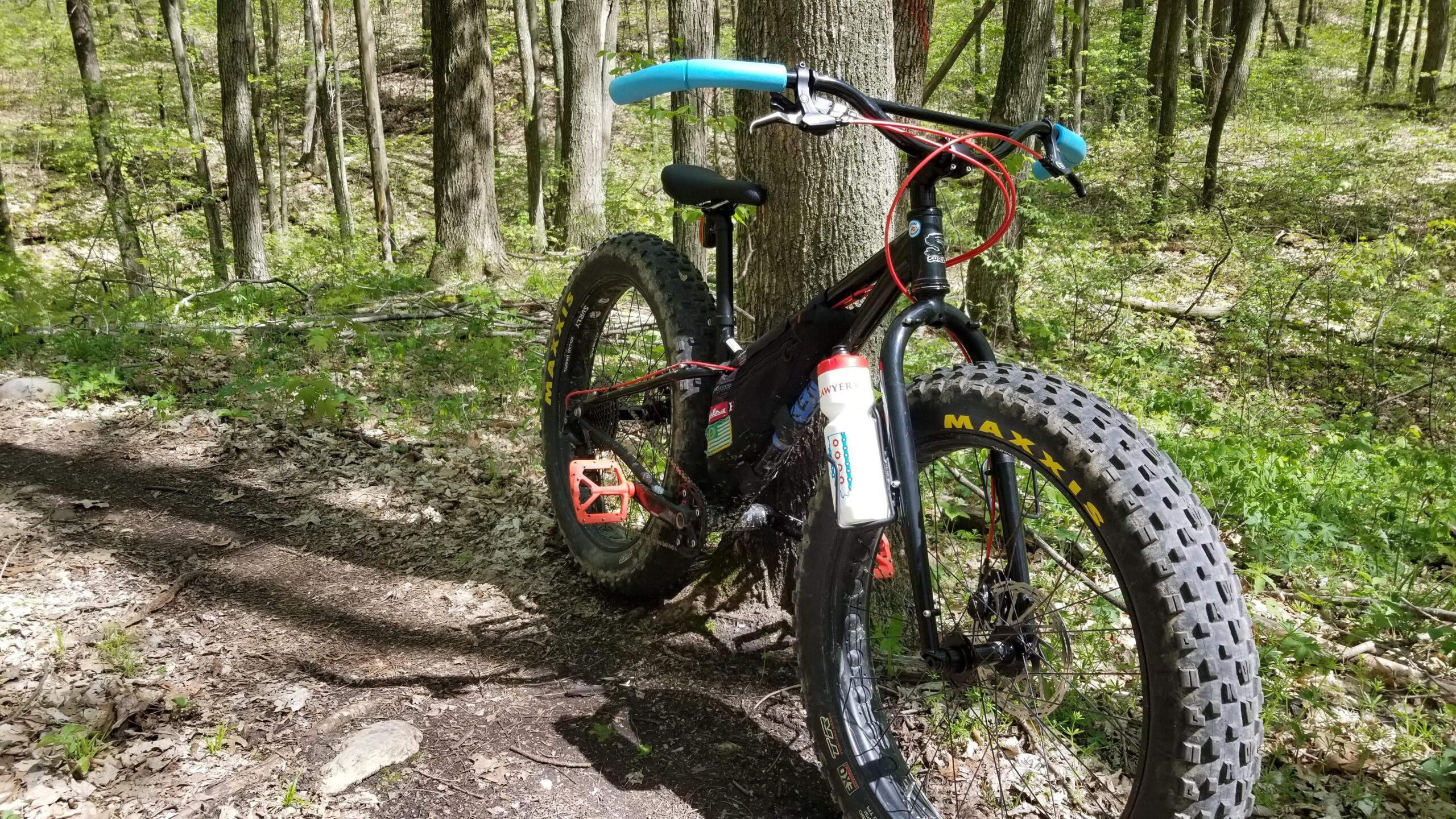 Surly Ice Cream Truck Ops: A black fat bike with orange pedals and blue handlebars is leaning against a tree on a wooded trail. A water bottle is attached to the bike frame, and the path is surrounded by green foliage and trees. The scene is bright and sunny, highlighting the bike's features and the natural setting.