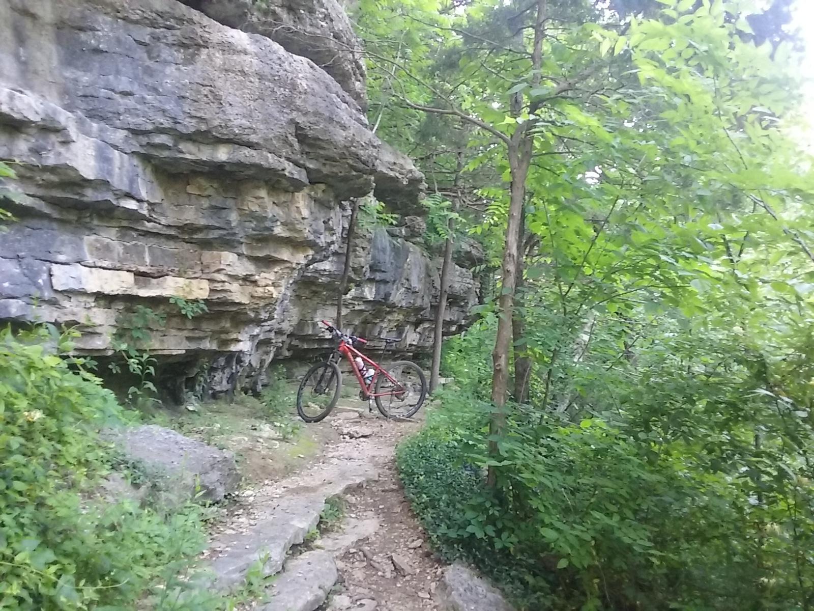 A scenic view of a rugged trail surrounded by lush greenery, featuring a red mountain bike parked next to a rocky cliff. The path is lined with rocks and dense foliage, suggesting an outdoor adventure setting. Blowing Springs mountain bike trail.
