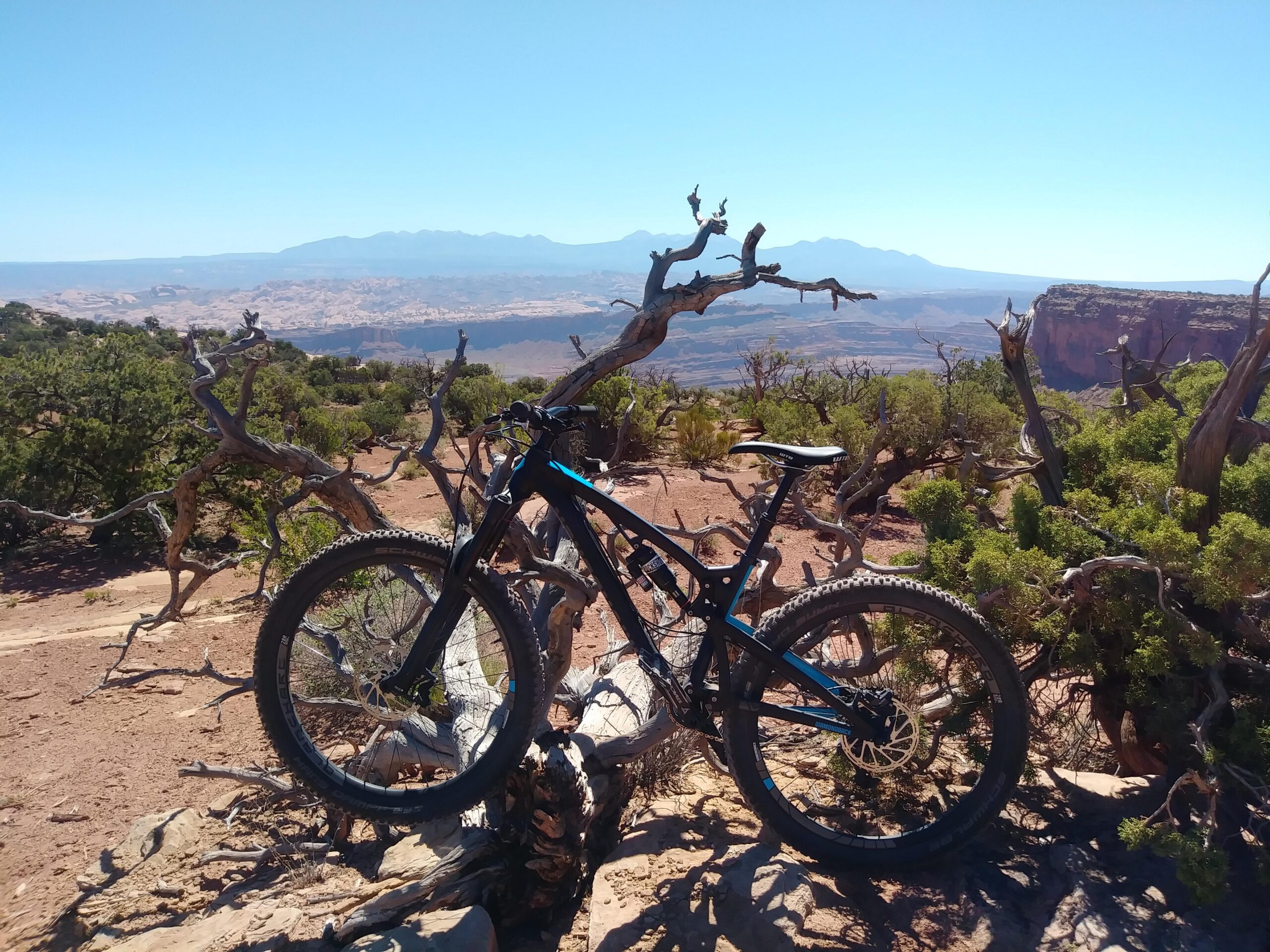 Diamondback Release 3: A mountain bike resting on a rocky outcrop with a scenic view of distant mountains and a clear blue sky. Surrounding the bike are sparse desert vegetation and twisted branches, indicating a rugged outdoor environment.