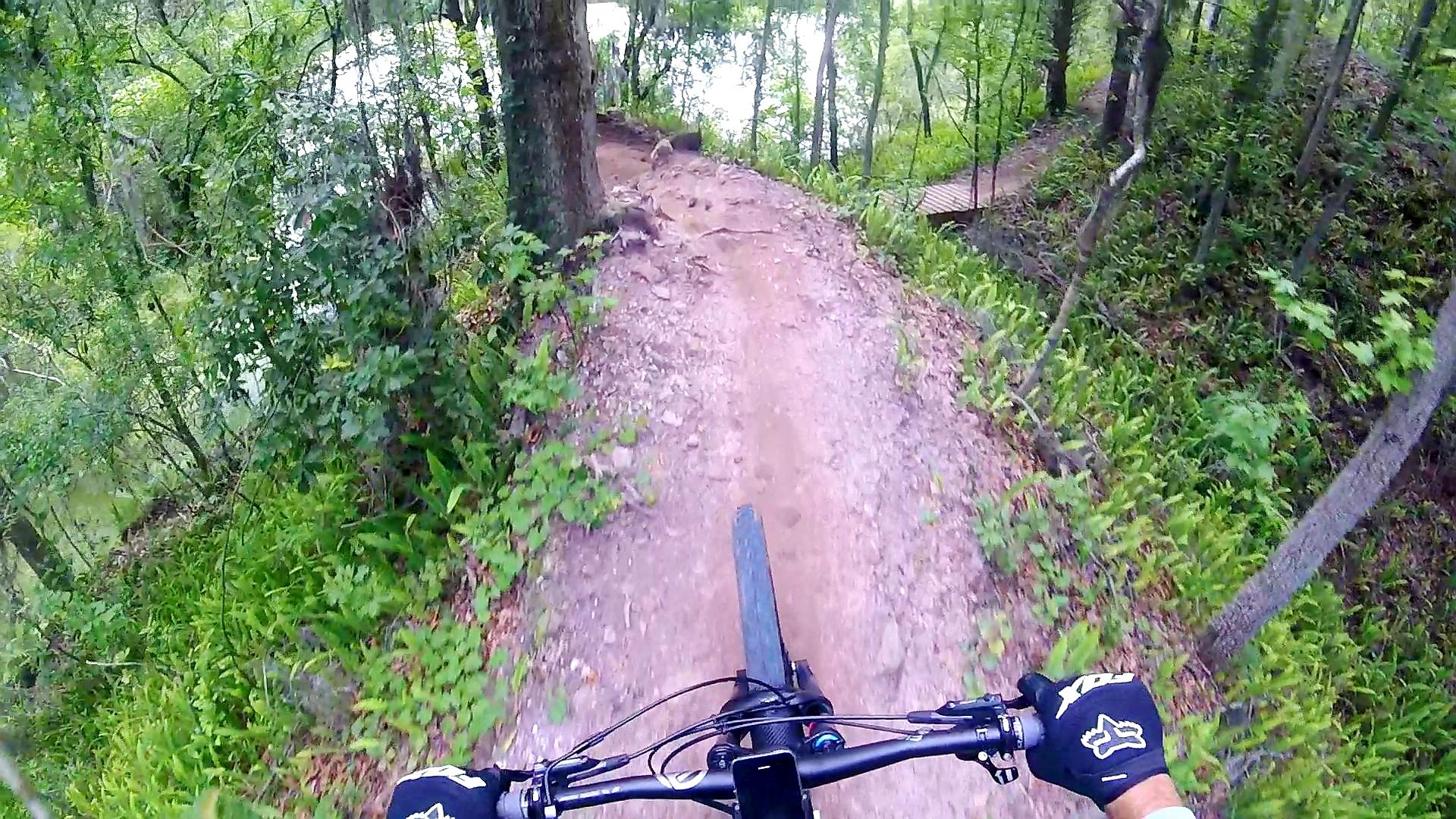 A first-person view of a mountain bike descending a narrow dirt trail surrounded by lush green vegetation and trees. The handlebars and front wheel of the bike are visible in the foreground, while the path winds down toward a reflective body of water in the background. Alafia River State Park mountain bike trail.
