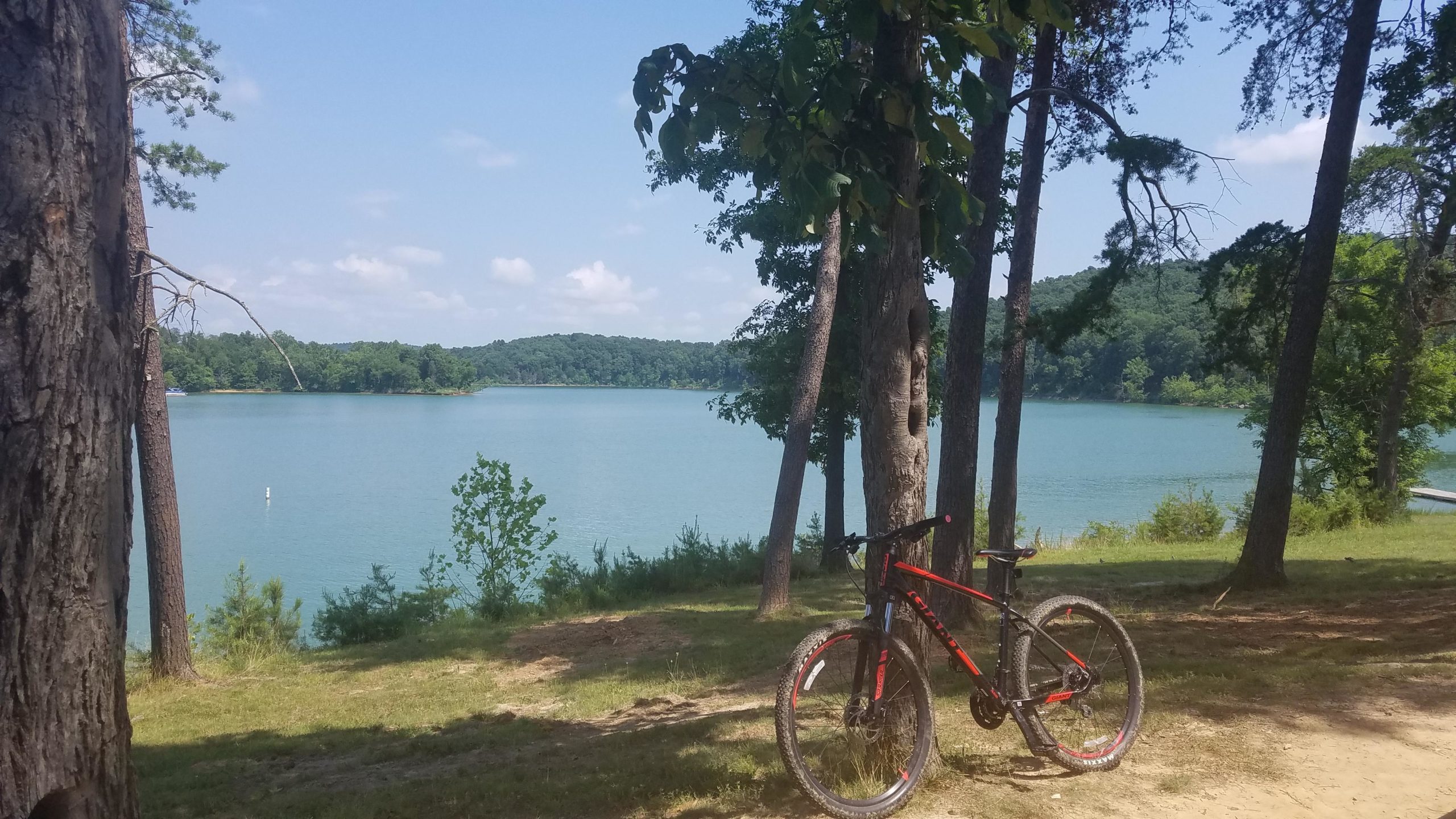 A mountain bike resting on a grassy area next to a calm blue lake, surrounded by tall trees and a clear sky with a few clouds. The scenic landscape features lush greenery in the background, perfect for outdoor activities. Brier Creek mountain bike trail.