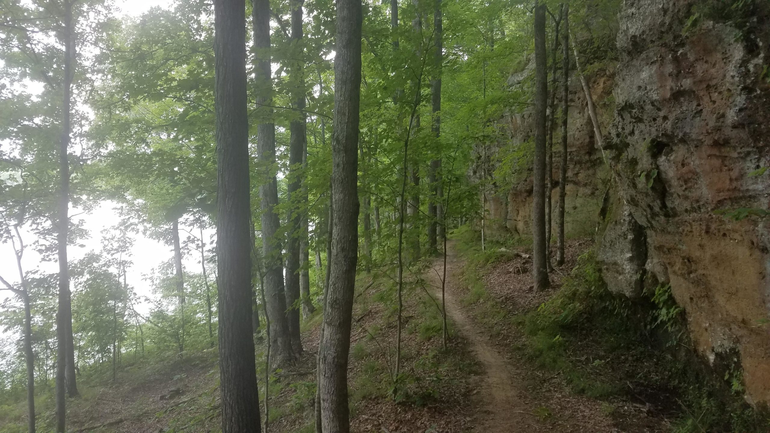 A narrow dirt path winds through a lush green forest, flanked by tall trees and rocky cliffs. The scene evokes a sense of tranquility, with dappled sunlight filtering through the leaves and the hint of a calm body of water in the background. Brier Creek mountain bike trail.