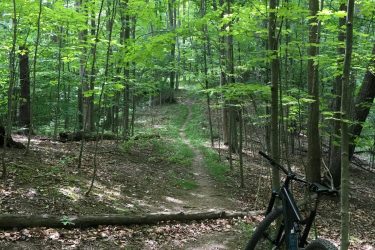 A mountain bike leaning against a tree on a dirt trail winding through a lush green forest, with sunlight filtering through the leaves above. Short Hills Provincial Park mountain bike trail.