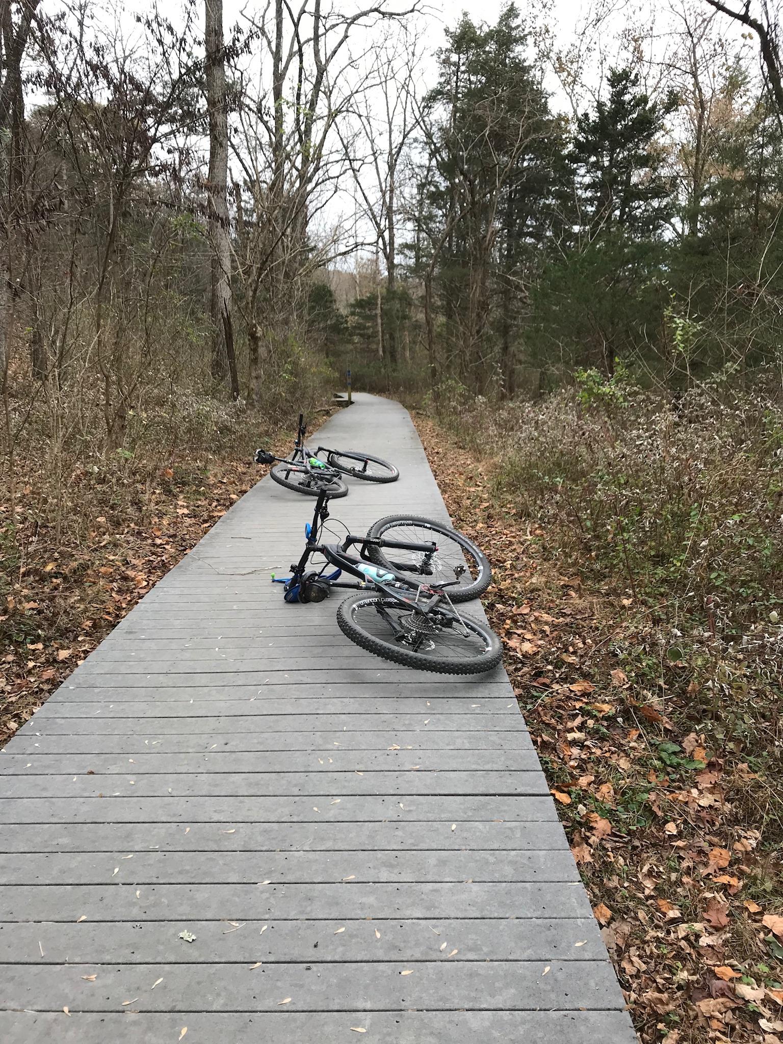 Niner Jet 9 Carbon: Two mountain bikes are leaned against a wooden pathway in a wooded area. The trees are mostly bare, indicating it might be autumn or early winter, with some fallen leaves scattered on the ground. The setting appears tranquil and natural, with hints of greenery among the brown foliage.