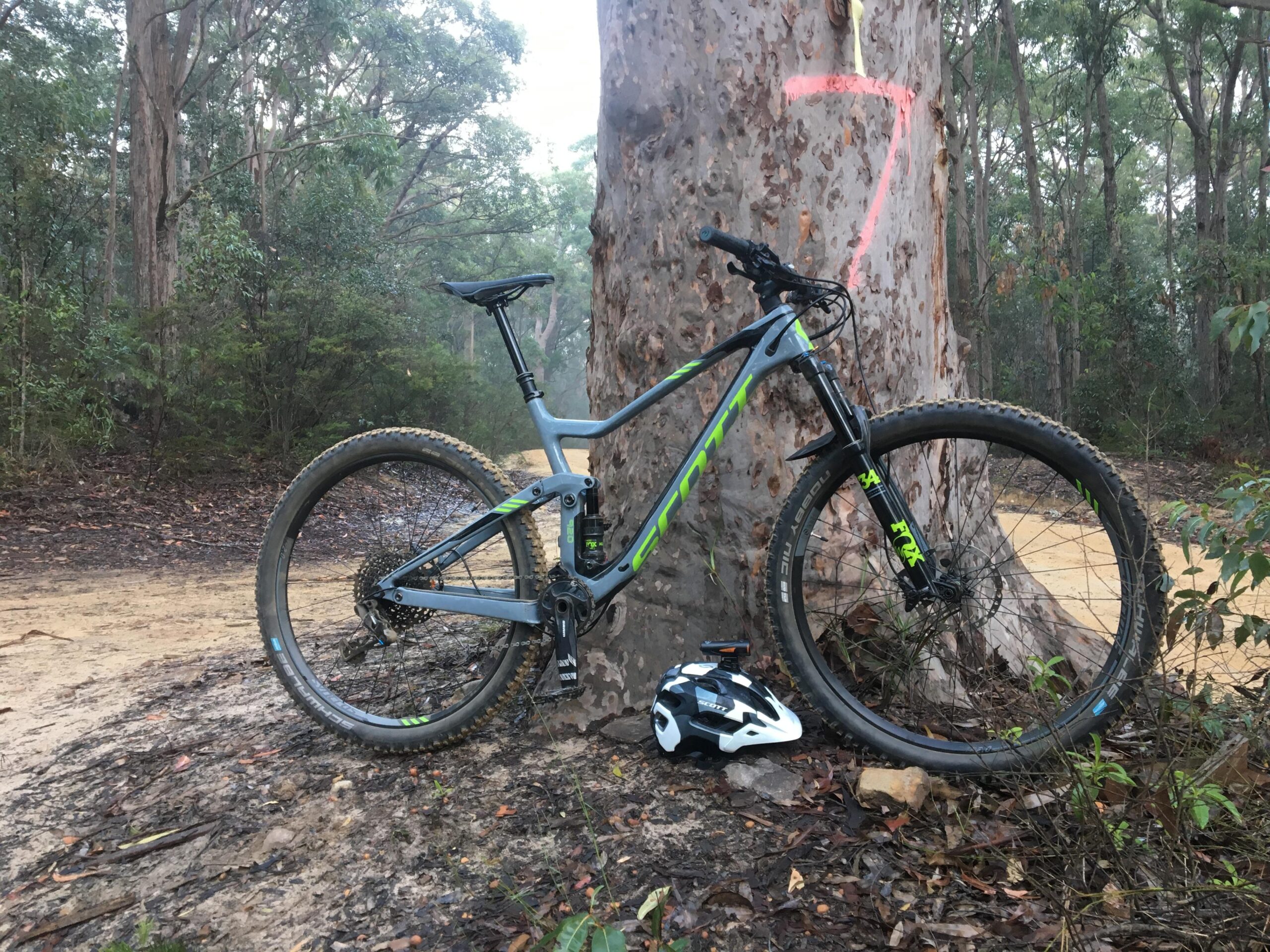Scott Genius 920: Alt text: A mountain bike with a gray frame and green accents is leaning against a large tree in a forest setting. A white bike helmet sits on the ground beside the bike, and a dirt path is visible in the background among the trees.