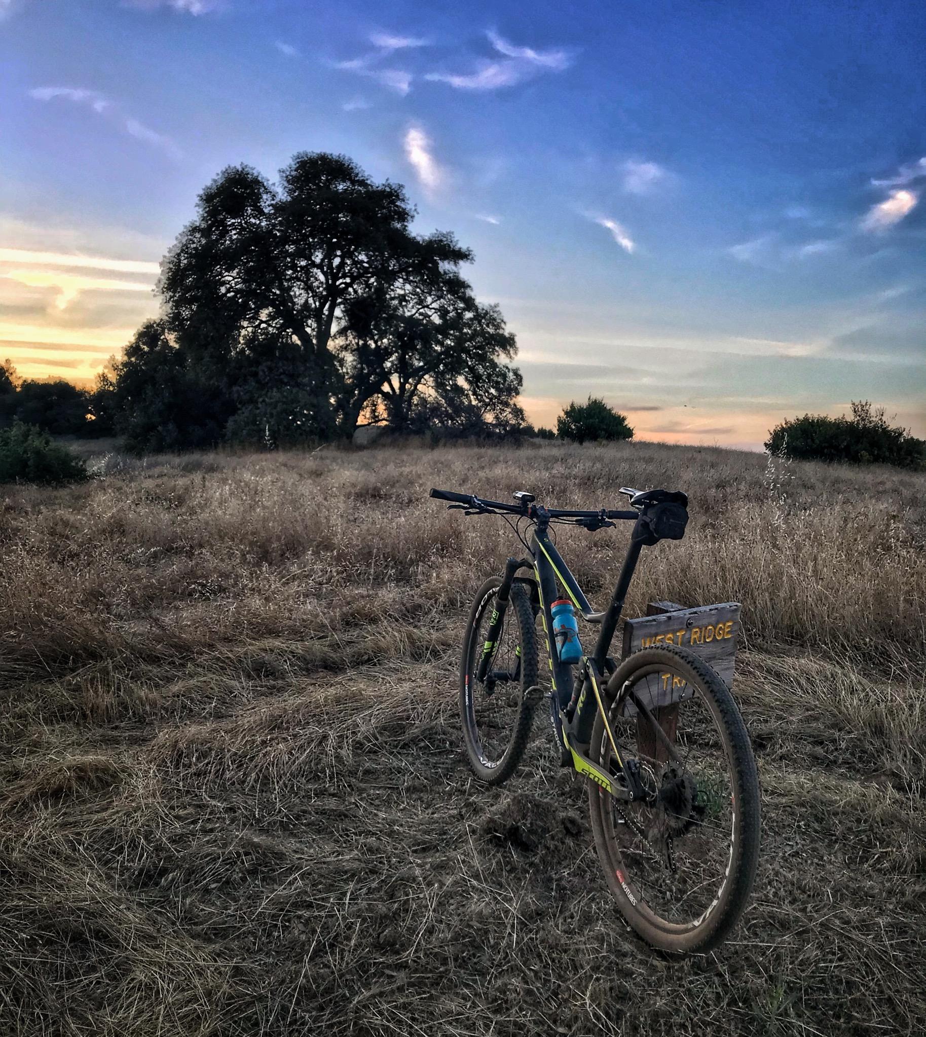 A mountain bike rests on a grassy hillside at sunset, with a large tree in the background and a sign for "West Ridge" partially visible. The sky is filled with soft clouds and warm colors, creating a serene atmosphere in a natural landscape. Cronan Ranch mountain bike trail.