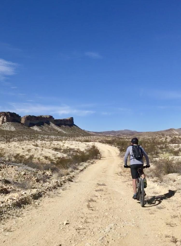 A person riding a mountain bike on a sandy dirt road in a desert landscape, surrounded by arid vegetation and rocky formations under a clear blue sky. Big Bend State Park mountain bike trail.
