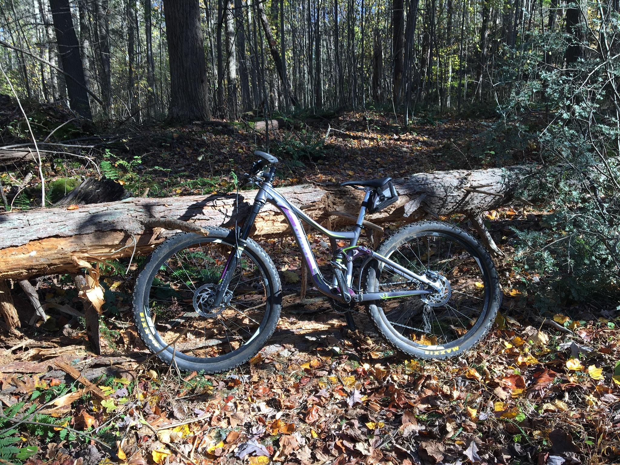 Giant INTRIGUE 2: A mountain bike resting against a fallen log in a wooded area, surrounded by autumn leaves and greenery. The sunlight filters through the trees, creating a serene outdoor scene.