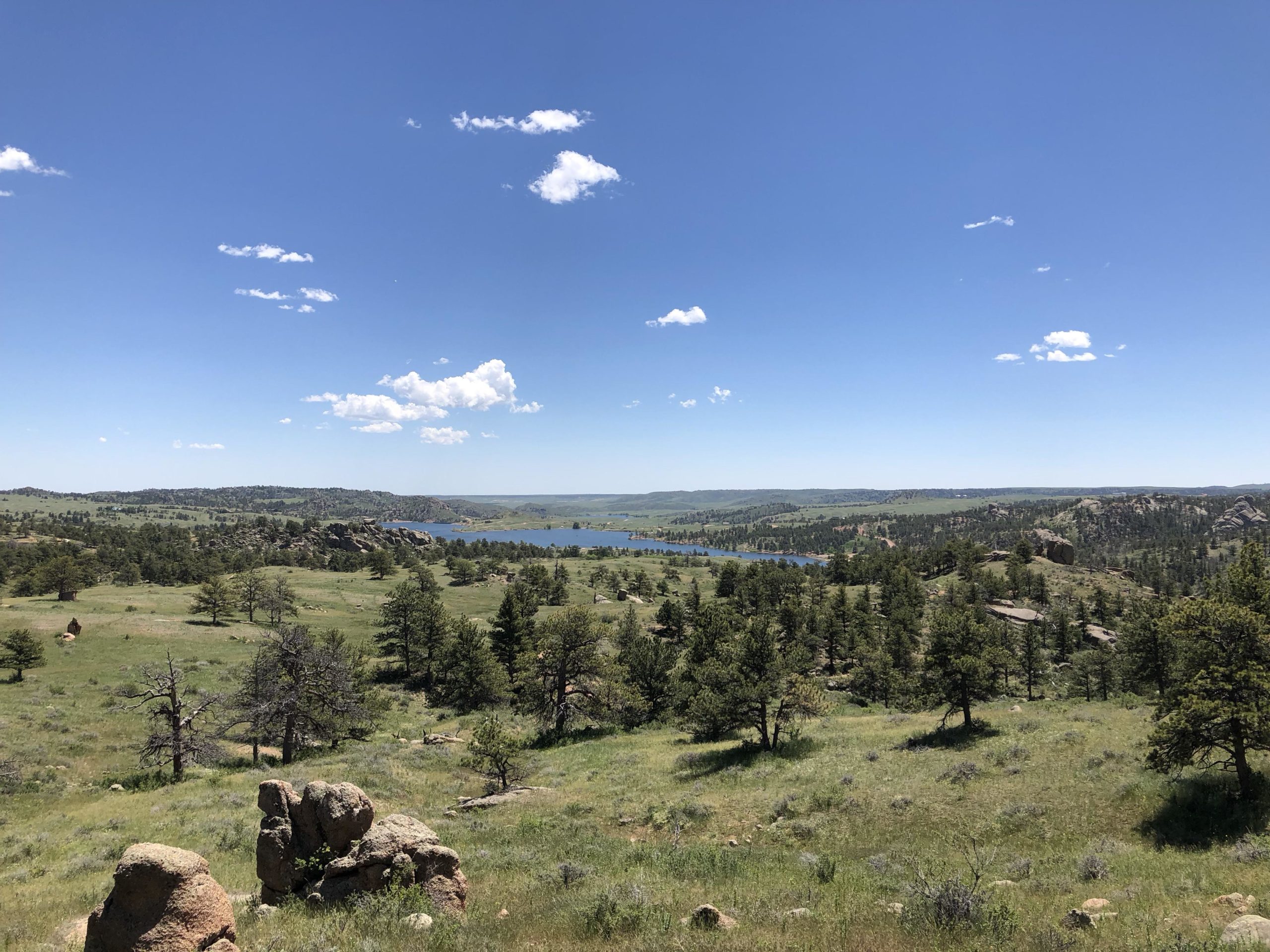 A panoramic view of a lush green landscape featuring rolling hills, scattered trees, and rocky formations under a bright blue sky with a few fluffy clouds. In the distance, a serene lake reflects the sky, adding to the tranquil natural scenery. Curt Gowdy State Park mountain bike trail.