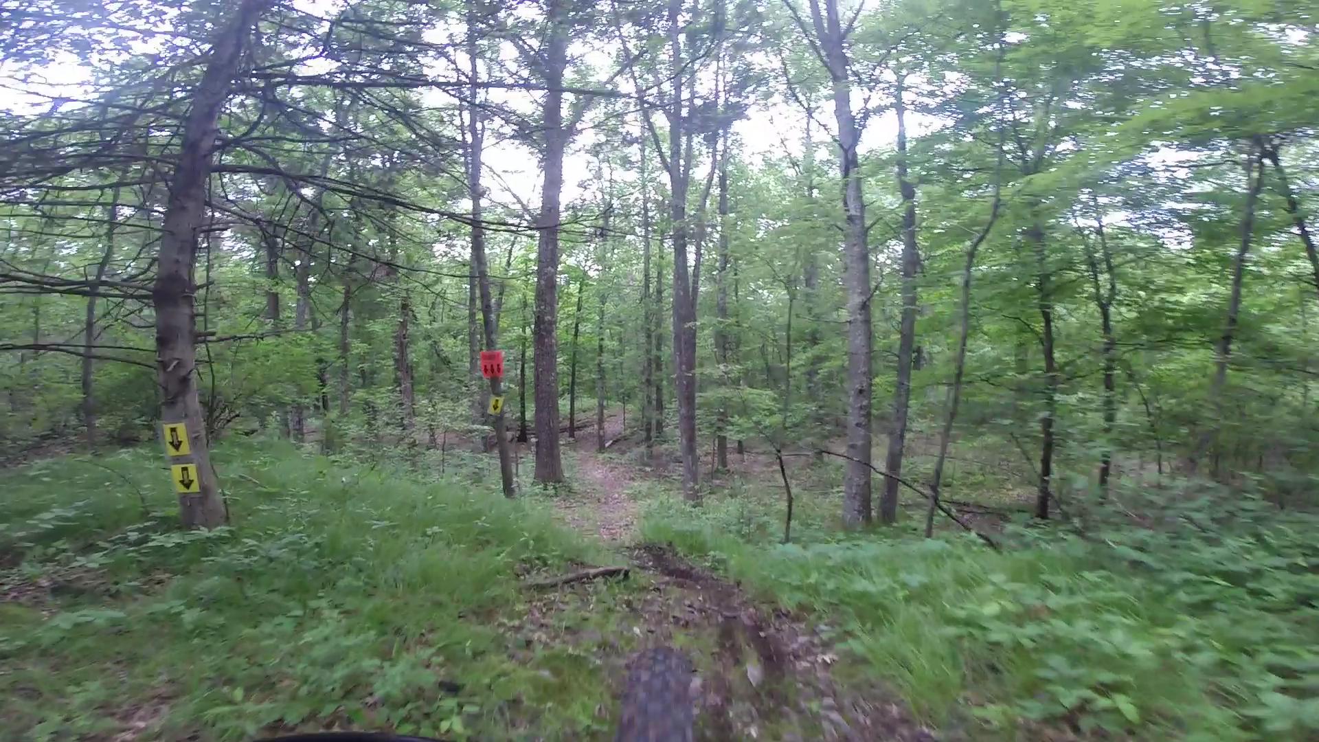 A narrow trail winding through a dense forest of green trees and underbrush, with yellow directional signs and a red marker visible on a tree in the background. The ground shows a muddy path, suggesting recent rain. Stewart State Forest mountain bike trail.