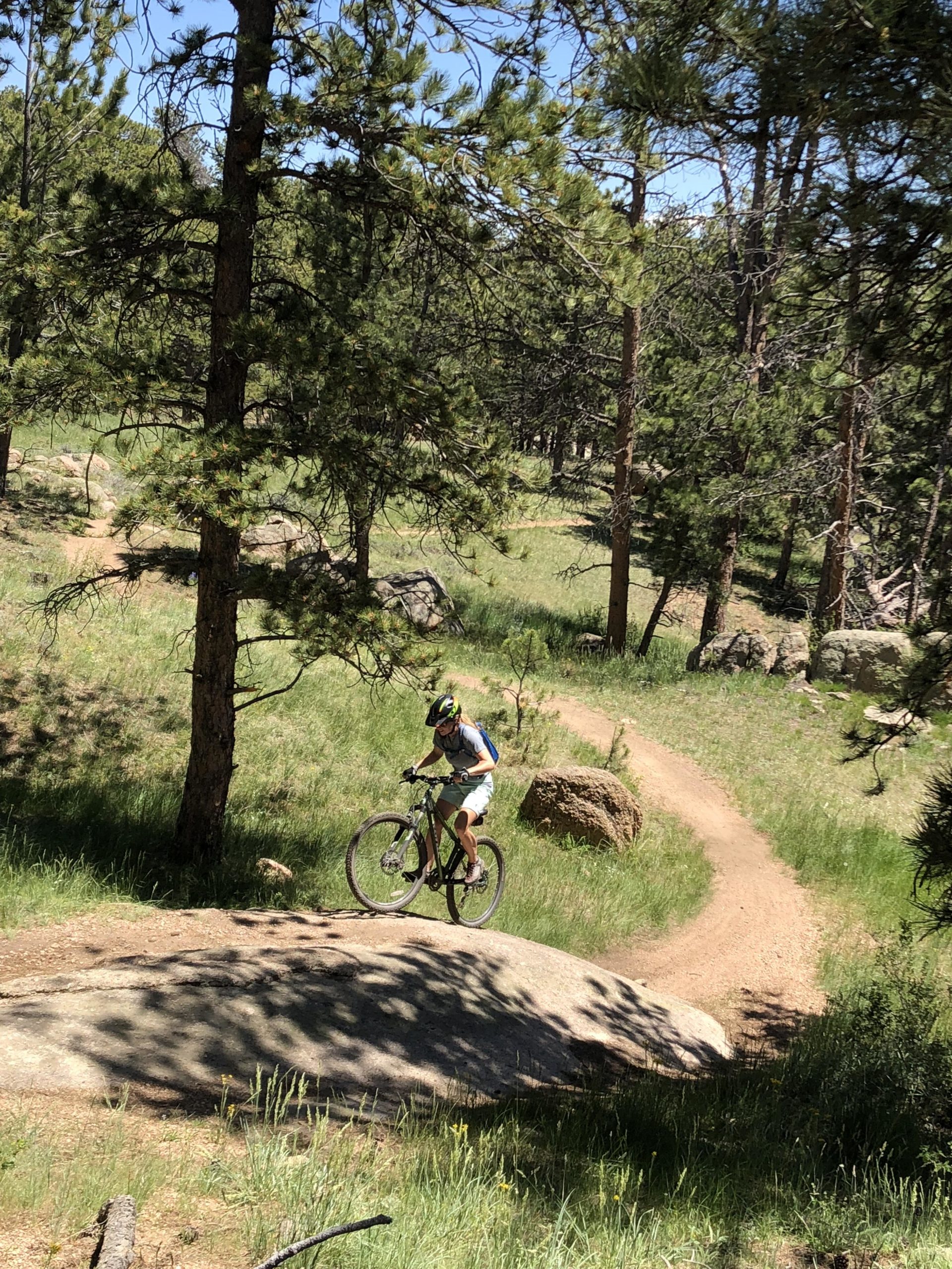 A person riding a mountain bike on a rocky trail in a forested area, surrounded by tall trees and greenery. The trail curves in the background, and the sunlight creates a bright and inviting atmosphere. Curt Gowdy State Park mountain bike trail.