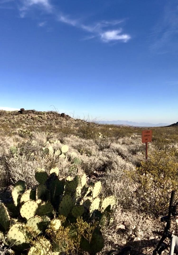 A desert landscape featuring various cacti and shrubbery, with a clear blue sky overhead. A small sign is visible in the background, and some rocky terrain can be seen in the distance. The scene captures the natural beauty of arid environments. Big Bend State Park mountain bike trail.