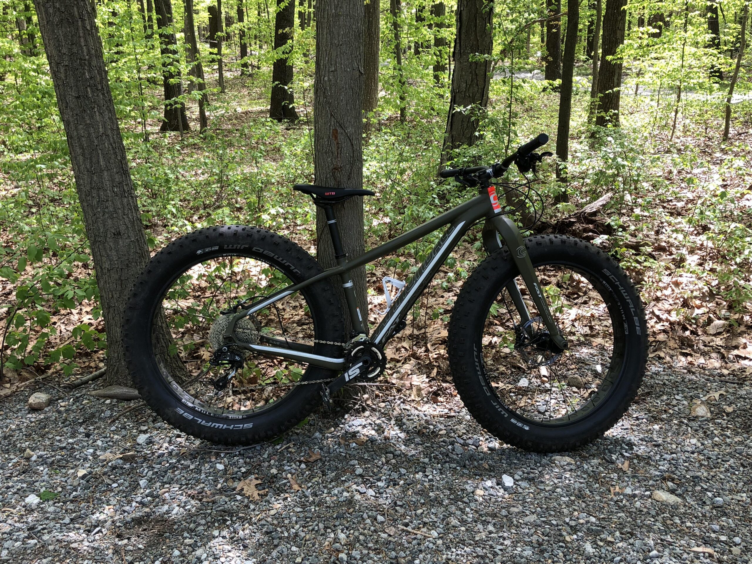 Giant INTRIGUE 2: A fat tire mountain bike parked on a gravel path surrounded by green trees and foliage.