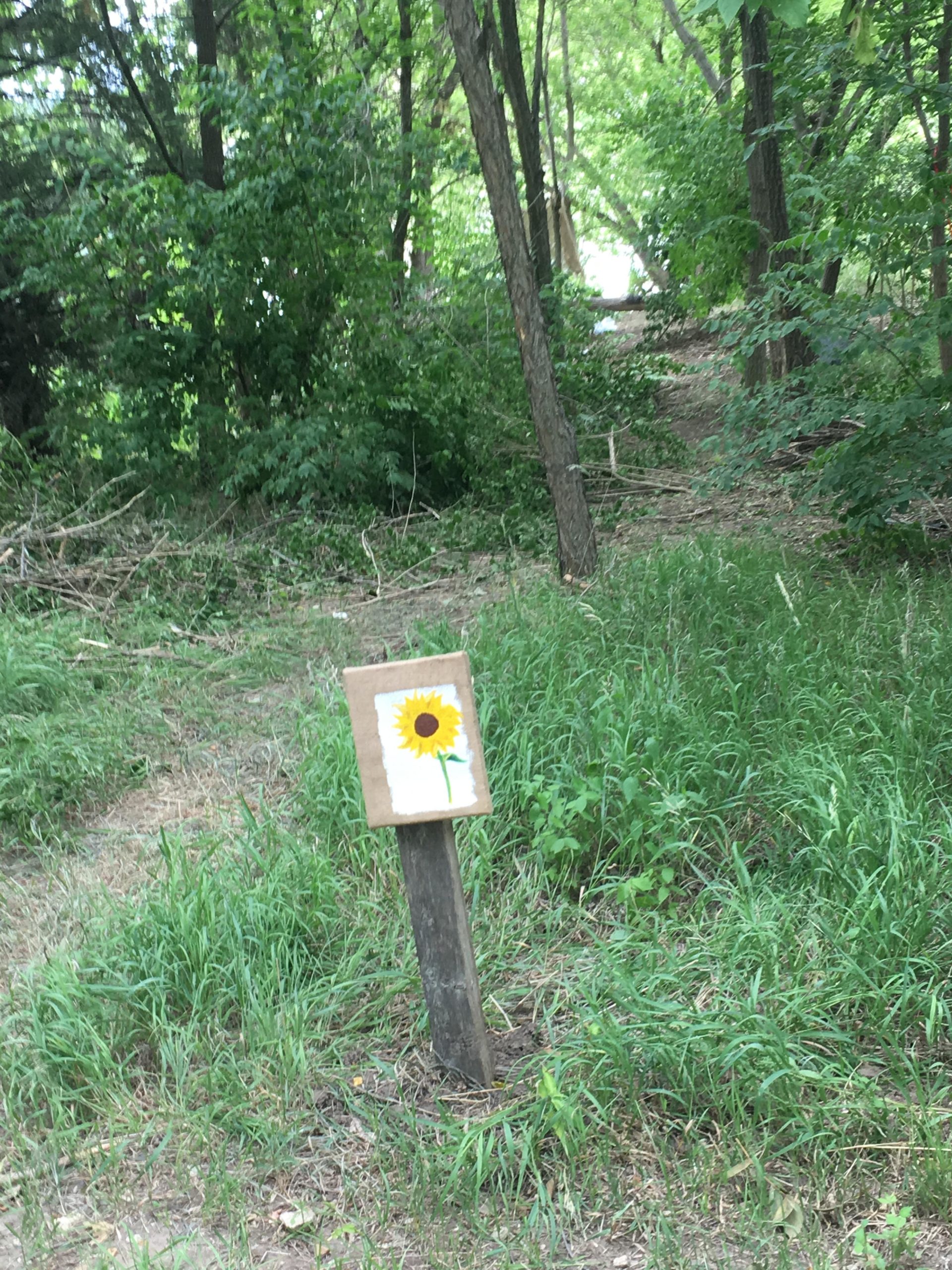 A wooden post in a green, wooded area with a hand-painted sign of a sunflower attached to it. The surrounding vegetation includes tall grass and trees, creating a natural, serene environment. Manhattan River Trail (MRT) mountain bike trail.
