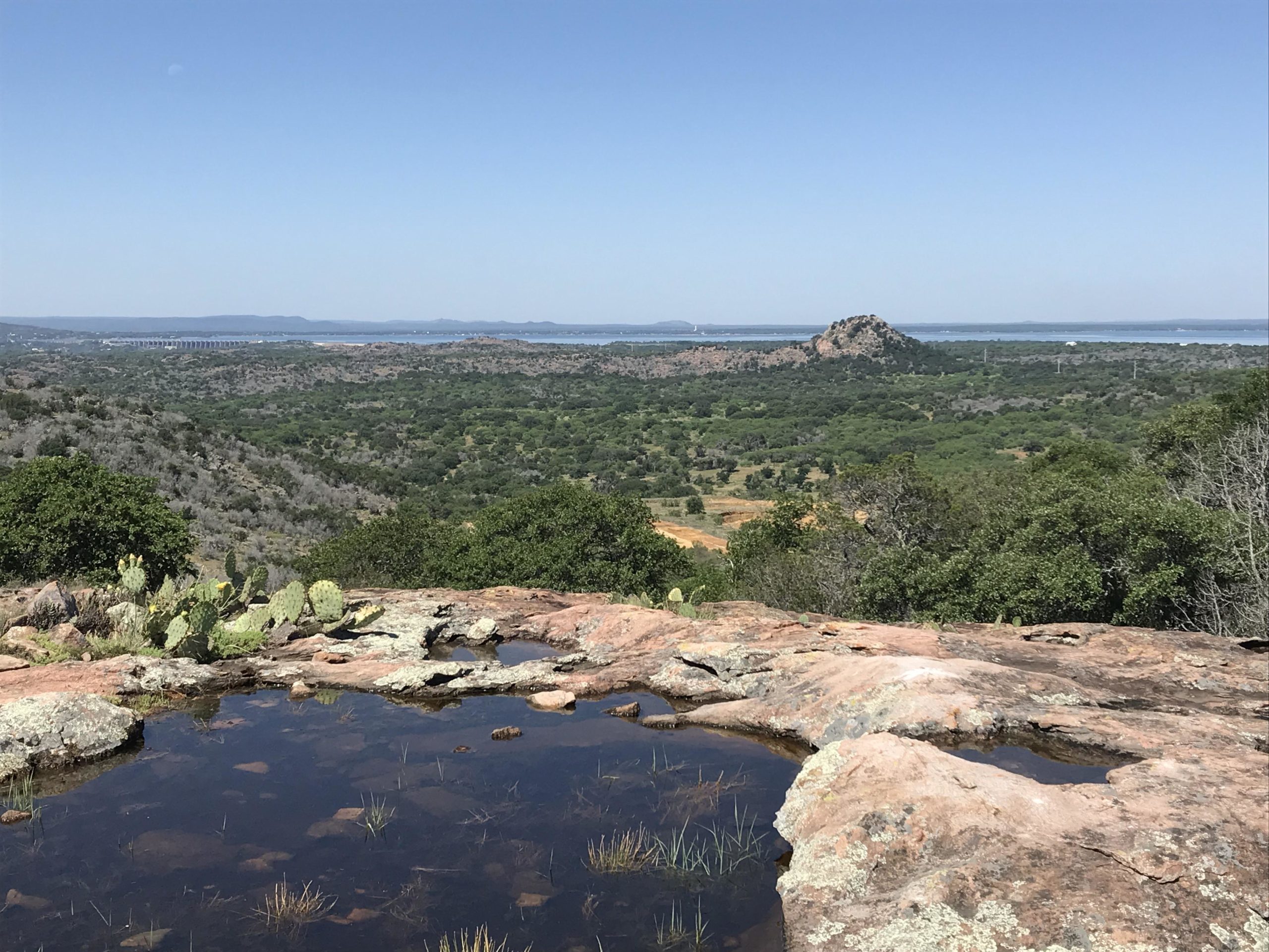 A panoramic view of a lush, green landscape featuring rolling hills and a distant body of water, under a clear blue sky. In the foreground, there are patches of rocky terrain and a small pool of water reflecting the surroundings. Cacti can be seen scattered among the vegetation, adding to the natural beauty of the scene. Reveille Peak Ranch mountain bike trail.