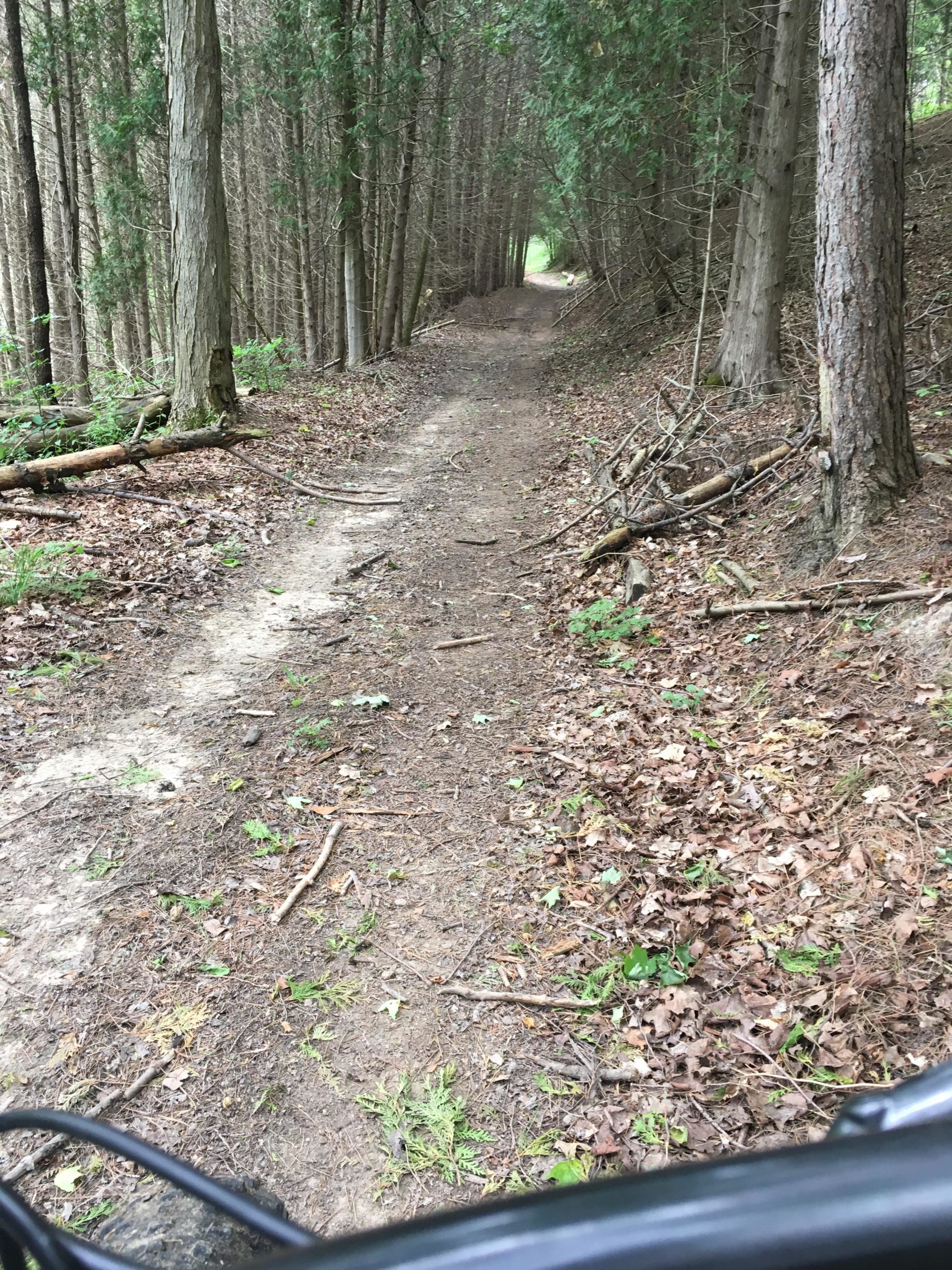 A narrow dirt path winding through a forest with tall trees on either side, featuring a mix of fallen leaves and small branches. The path is surrounded by greenery, indicating a natural and serene outdoor environment. Bayfield river mountain bike trail.