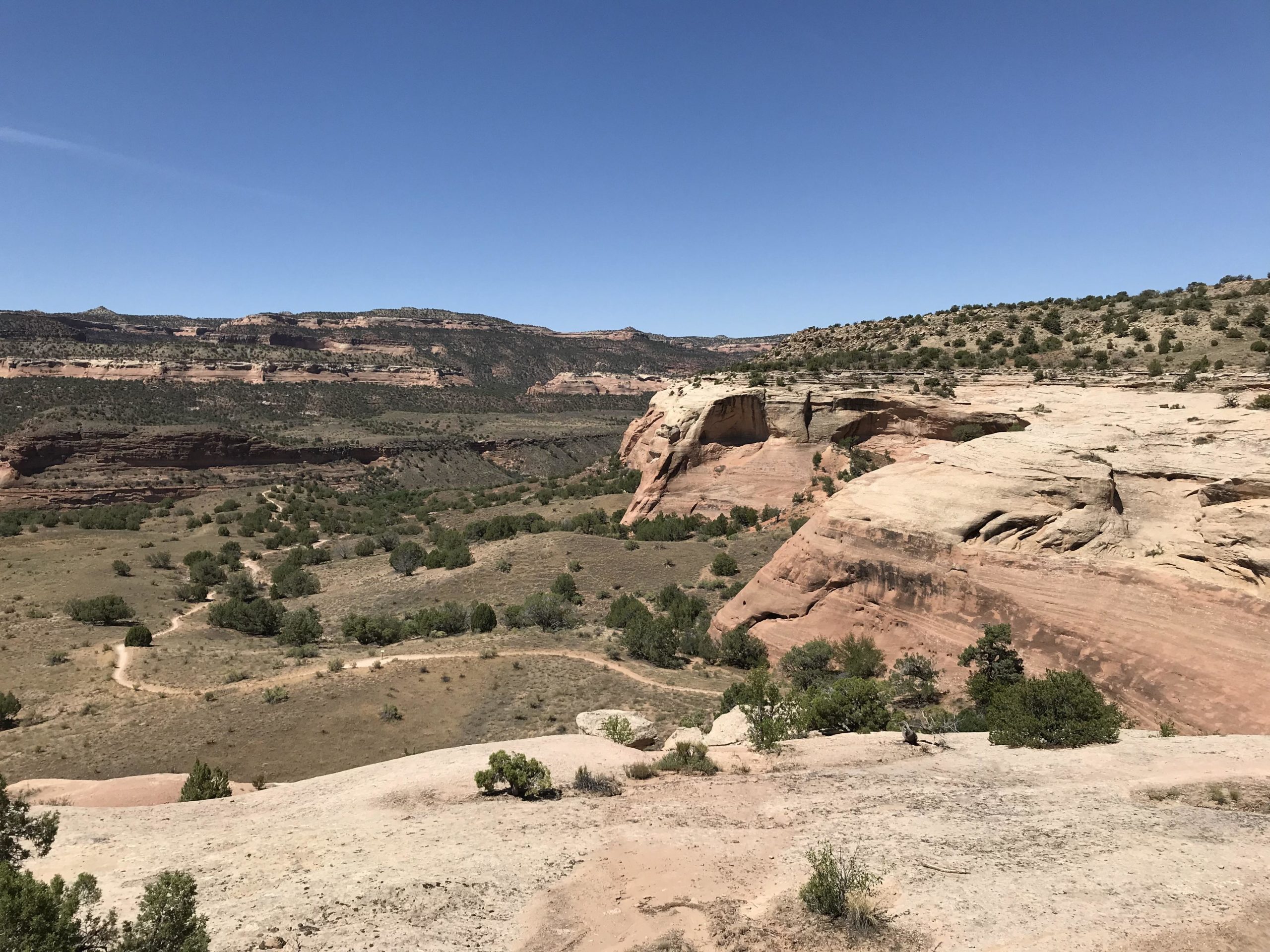 A panoramic view of a rugged landscape featuring layered rock formations and rolling hills. The scene includes a clear blue sky, patches of green shrubbery scattered throughout the arid terrain, and winding dirt paths leading through the valley. Kokopelli Area Trails mountain bike trail.