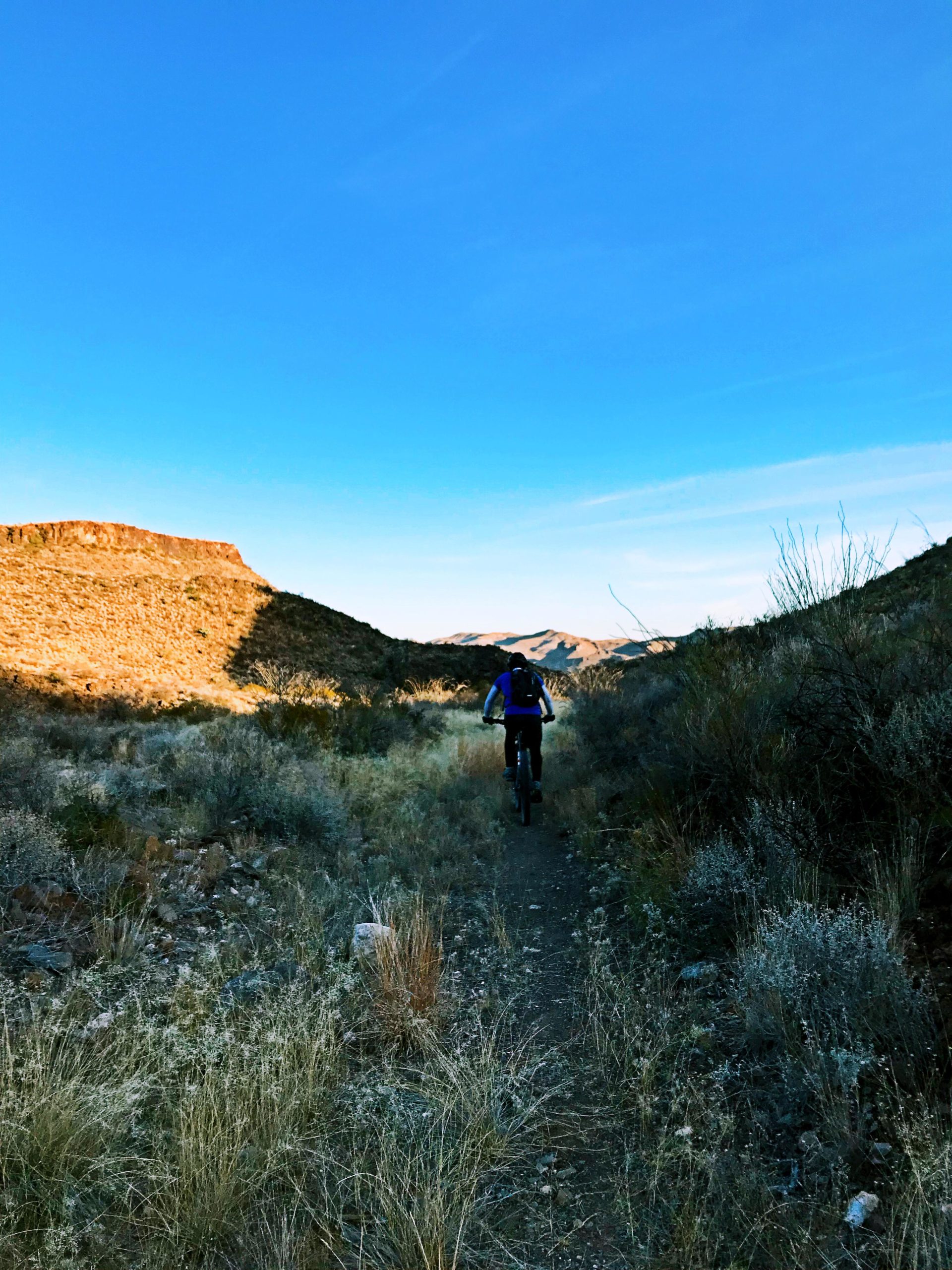 A person riding a mountain bike along a narrow dirt trail in a desert landscape, surrounded by sparse vegetation and rugged hills under a clear blue sky. Big Bend State Park mountain bike trail.