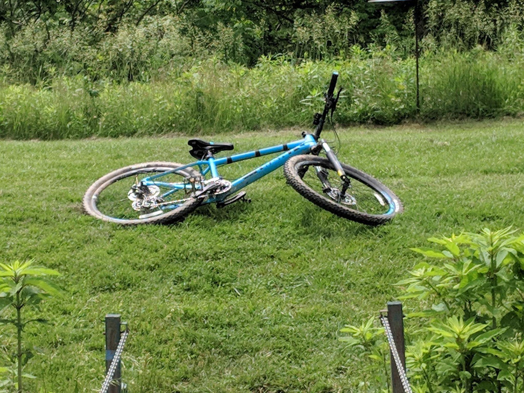 A blue mountain bike lying on its side on a grassy field, surrounded by tall plants and trees in the background.