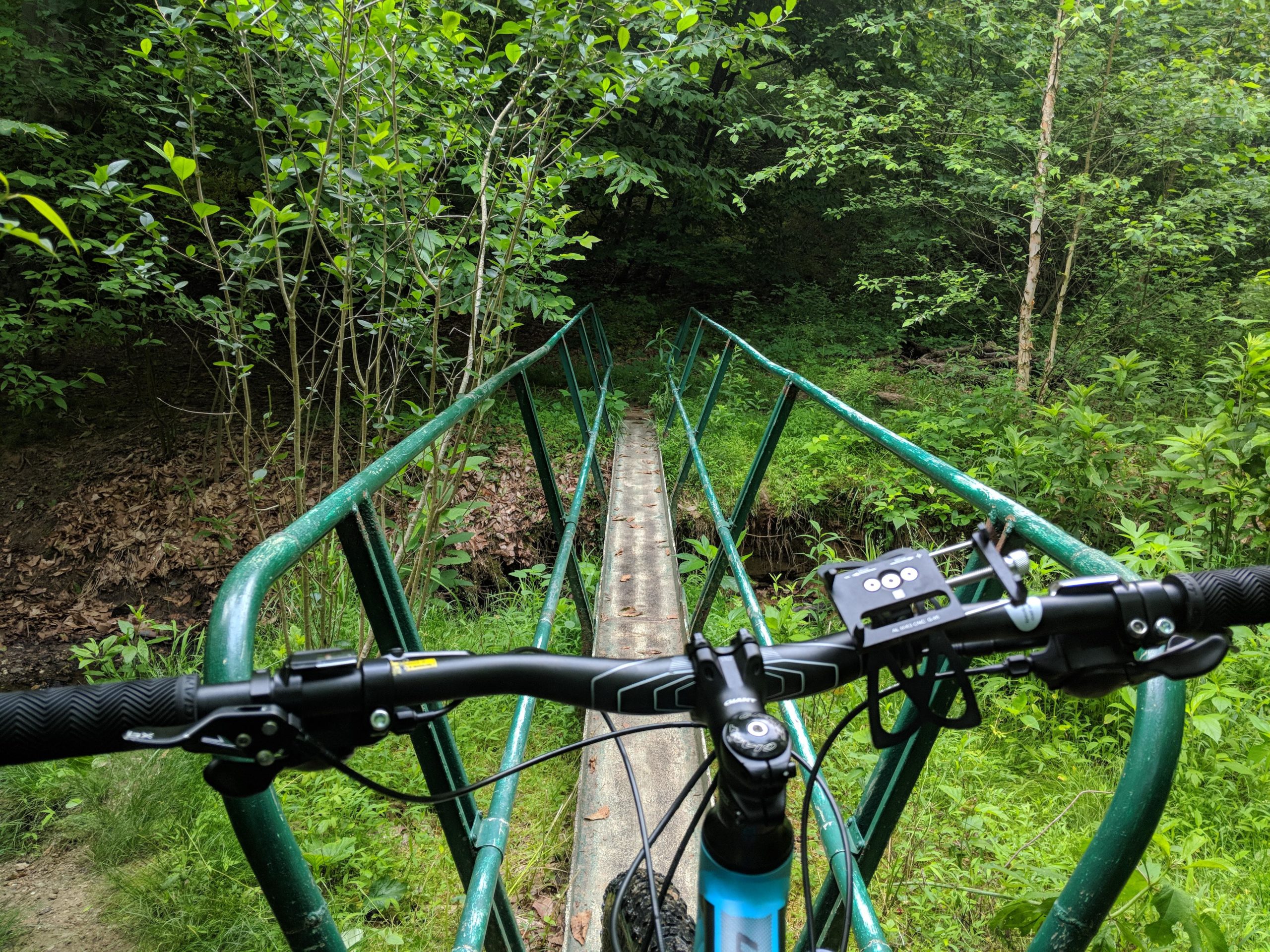 A close-up view of bicycle handlebars on a narrow, green metal bridge surrounded by lush greenery and trees. The bridge spans a small stream, and the ground is covered with leaves and grass. Hashawha mountain bike trail.