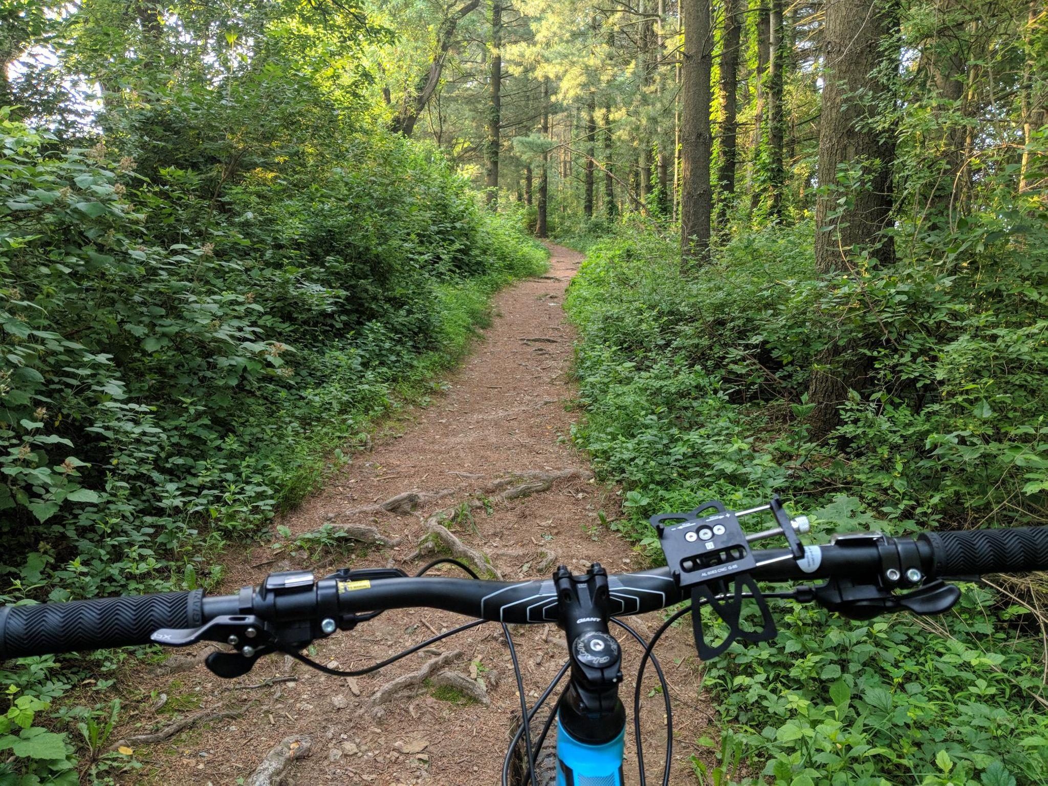 A view from the handlebars of a mountain bike, looking down a winding dirt path surrounded by lush green foliage and trees in a forest. The handlebars display a mount for a device, and the path is lined with small rocks and vegetation. Hashawha mountain bike trail.