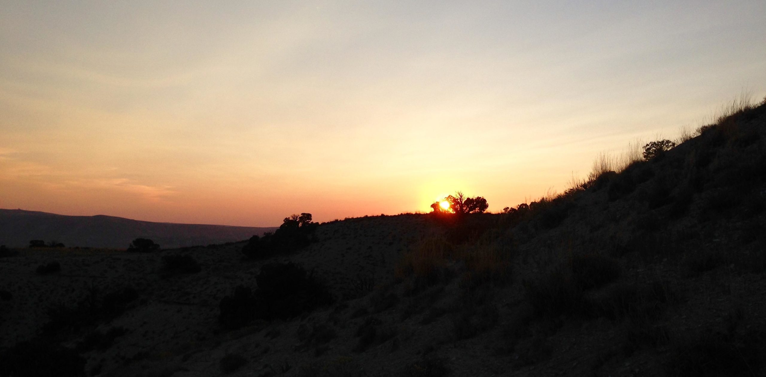 A serene sunset over gentle hills, with a gradient of warm orange and soft pink hues in the sky. Silhouettes of sparse trees and shrubs are visible against the horizon, creating a peaceful and natural landscape. Wilkins Peak Trails mountain bike trail.