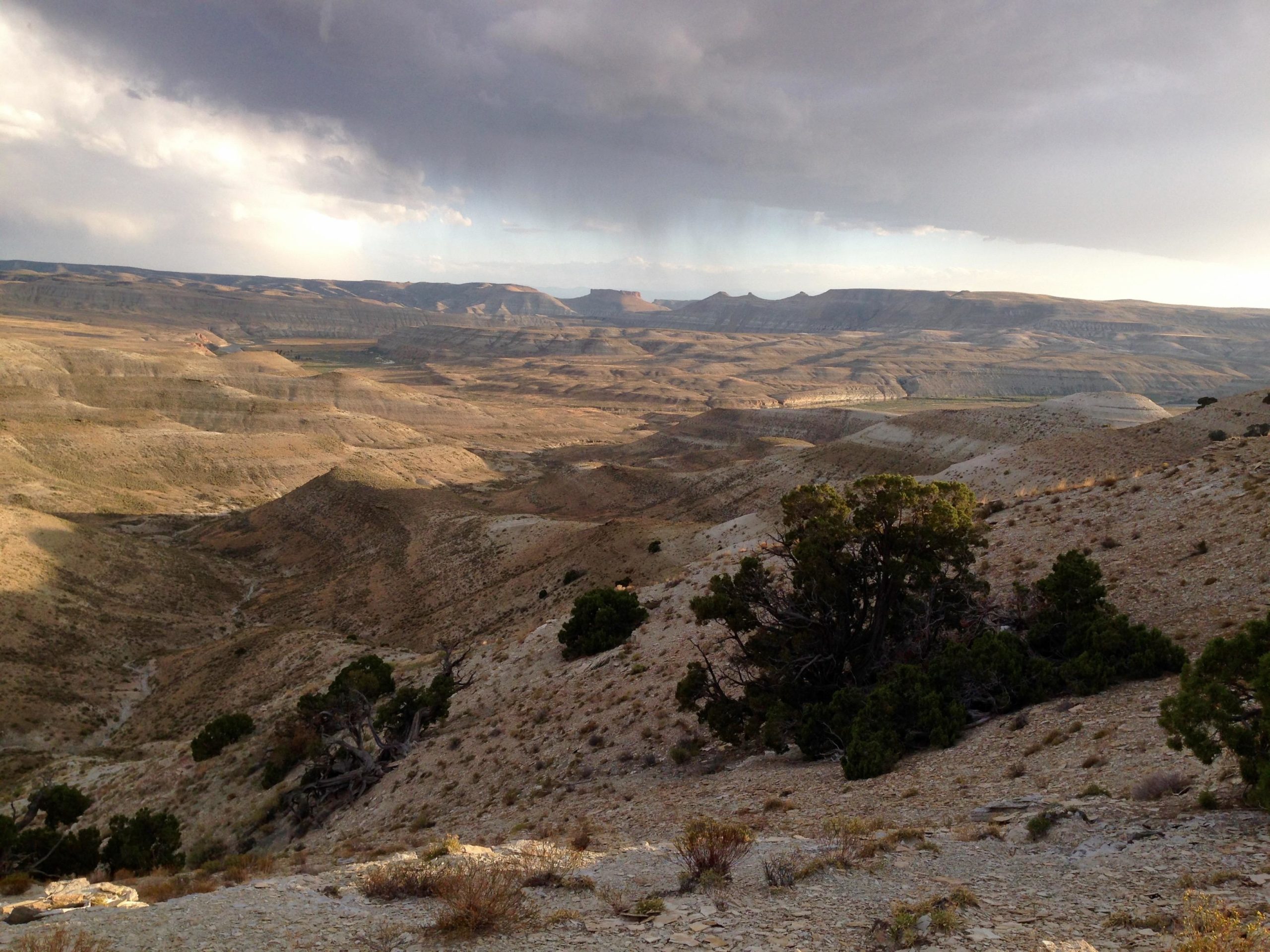 A vast, arid landscape featuring rolling hills and distant mountain ranges under a cloudy sky. The foreground includes rocky terrain and sparse vegetation, with scattered bushes and trees. The scene conveys a sense of openness and natural beauty in a desert-like environment. Wilkins Peak Trails mountain bike trail.
