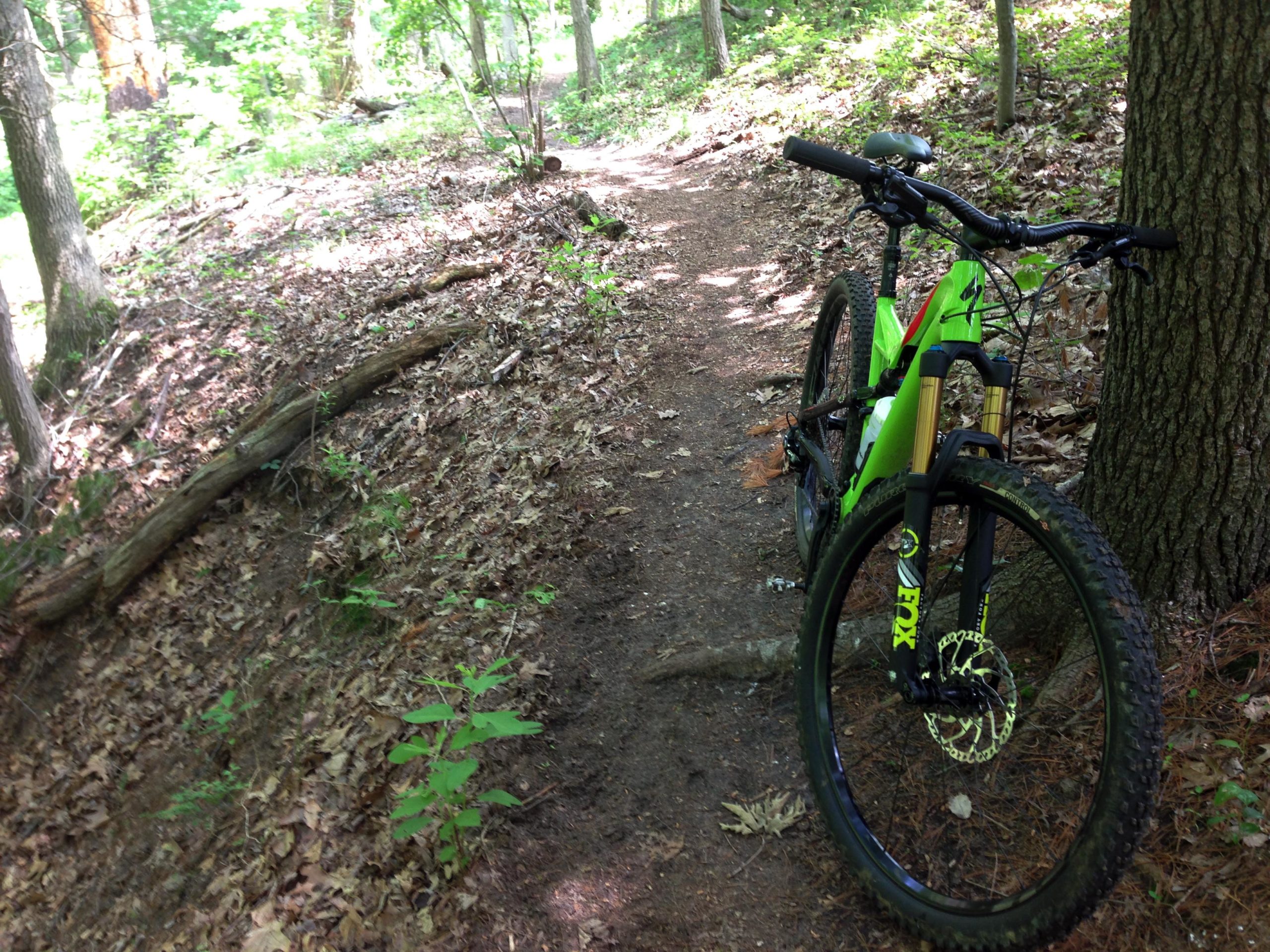 A vibrant green mountain bike leaning against a tree on a dirt path surrounded by lush greenery and fallen leaves, indicating a peaceful outdoor setting for cycling. Rancocas State Park - Westampton mountain bike trail.