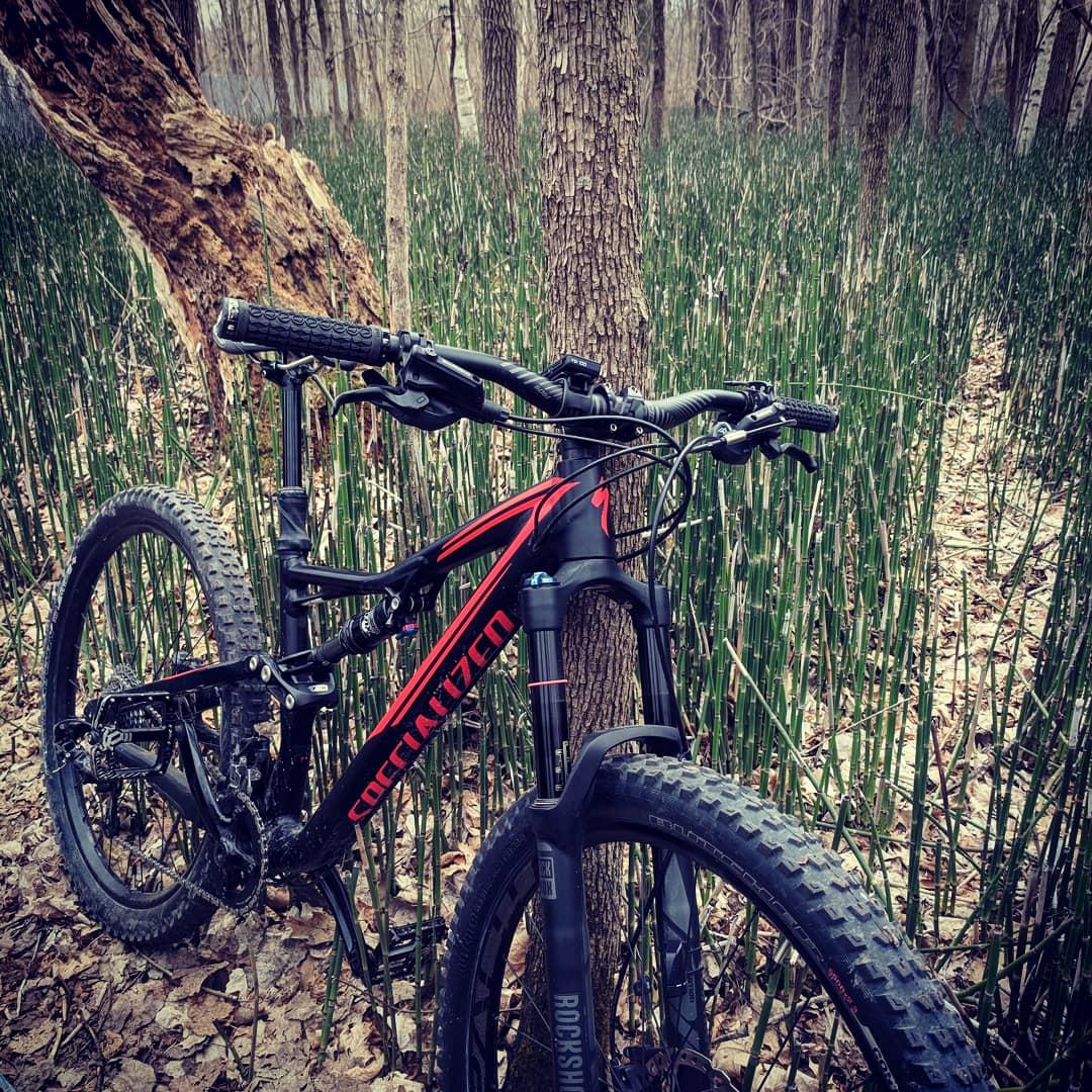 Specialized Stumpjumper FSR: A black and red mountain bike resting against a tree in a forest. The scene features tall green grass and sparse trees, with some fallen leaves on the ground, indicating early spring or late winter.