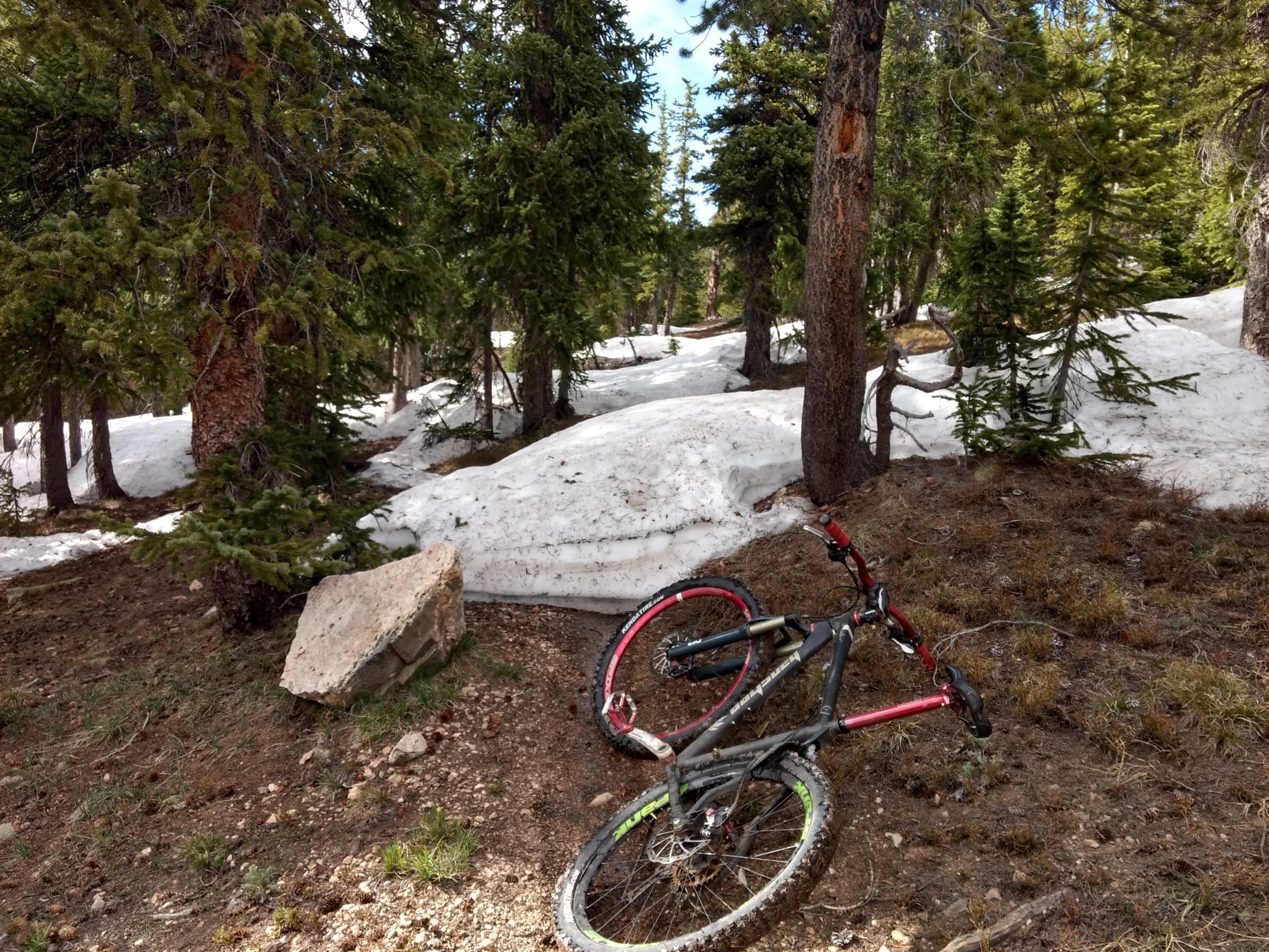 A mountain bike resting on the forest floor, surrounded by coniferous trees and patches of lingering snow. The scene is set in a rugged, natural environment, showcasing a mix of earthy tones and greenery. Sunlight filters through the trees, illuminating the bike and the snow-covered terrain. Colorado Trail: Kenosha Pass To Breckenridge mountain bike trail.