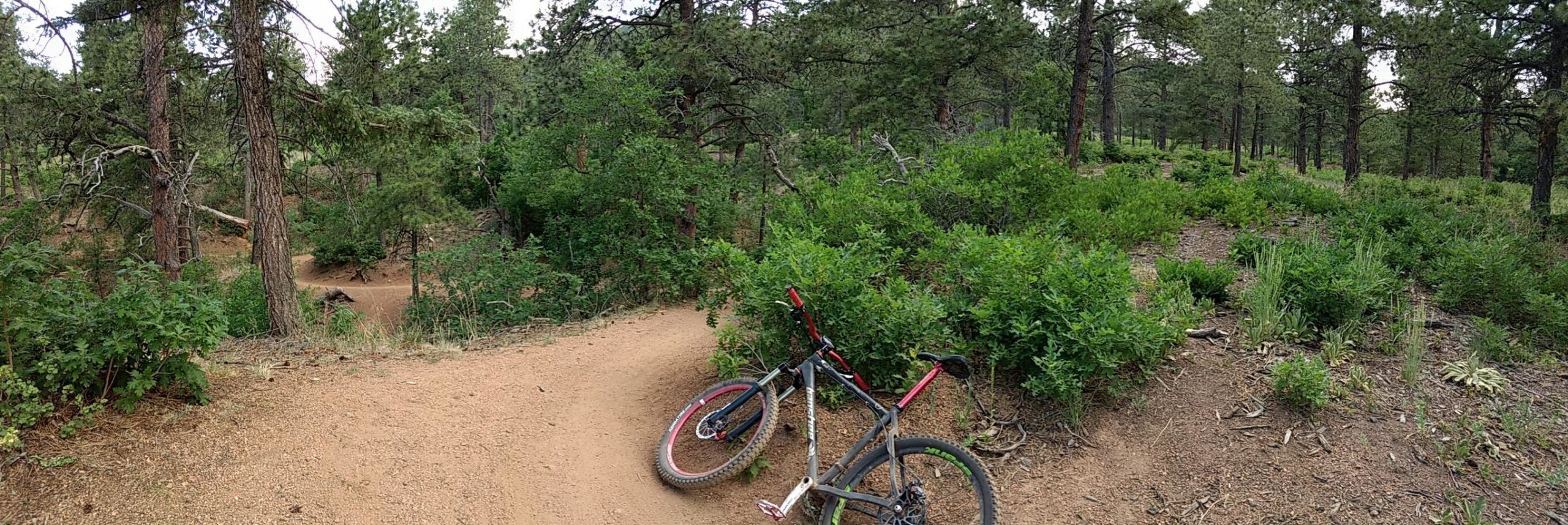 A mountain bike resting on a dirt trail surrounded by dense greenery and pine trees in a forested area. The path curves gently, indicating a scenic route for outdoor cycling enthusiasts. Stratton Open Space / The Chutes mountain bike trail.