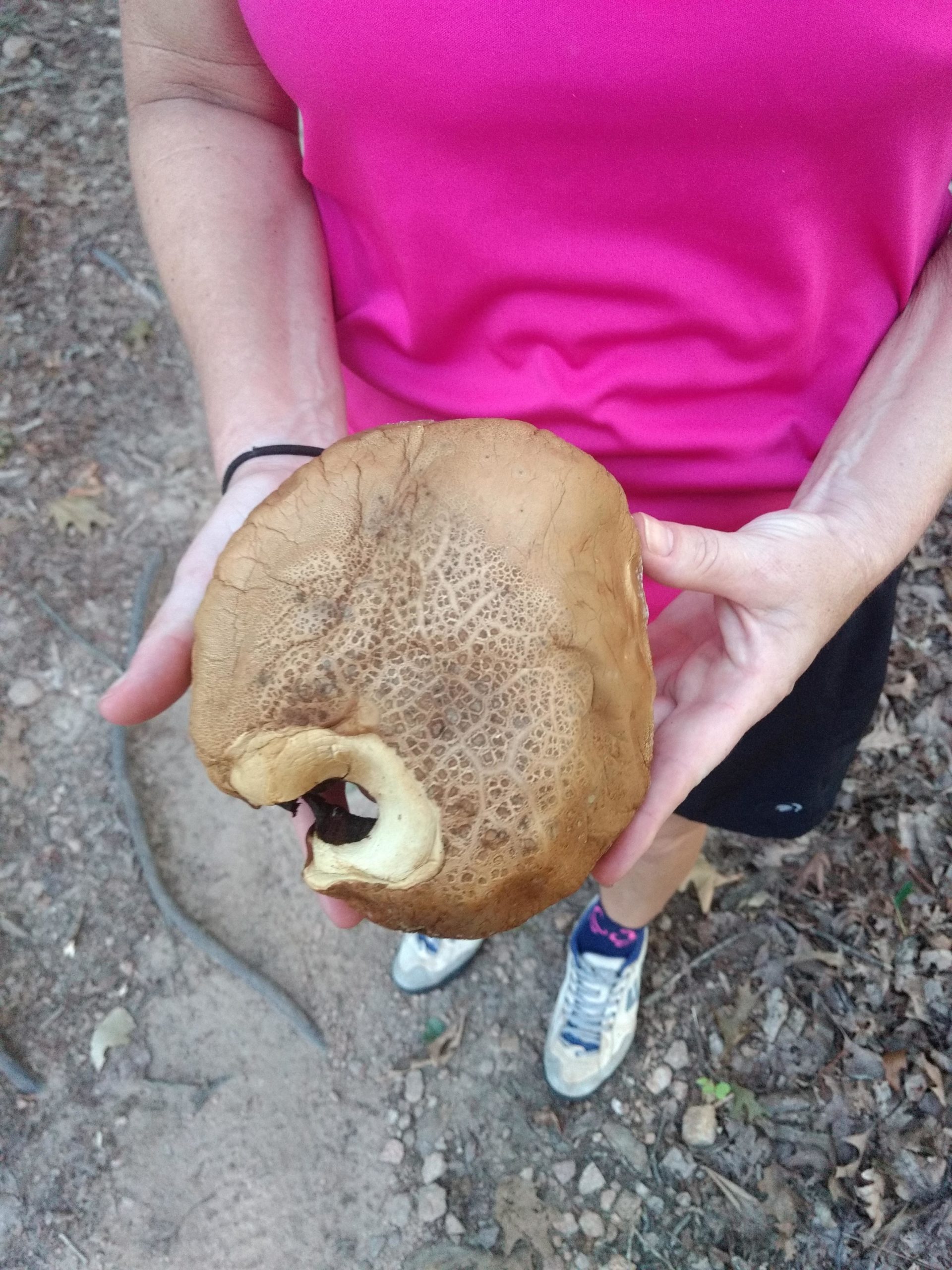 A close-up view of a person holding a large, rounded mushroom with a textured brown cap and a hollow center. The background features a natural setting with dirt, leaves, and foliage. The person is wearing a bright pink shirt. Charleston Park mountain bike trail.